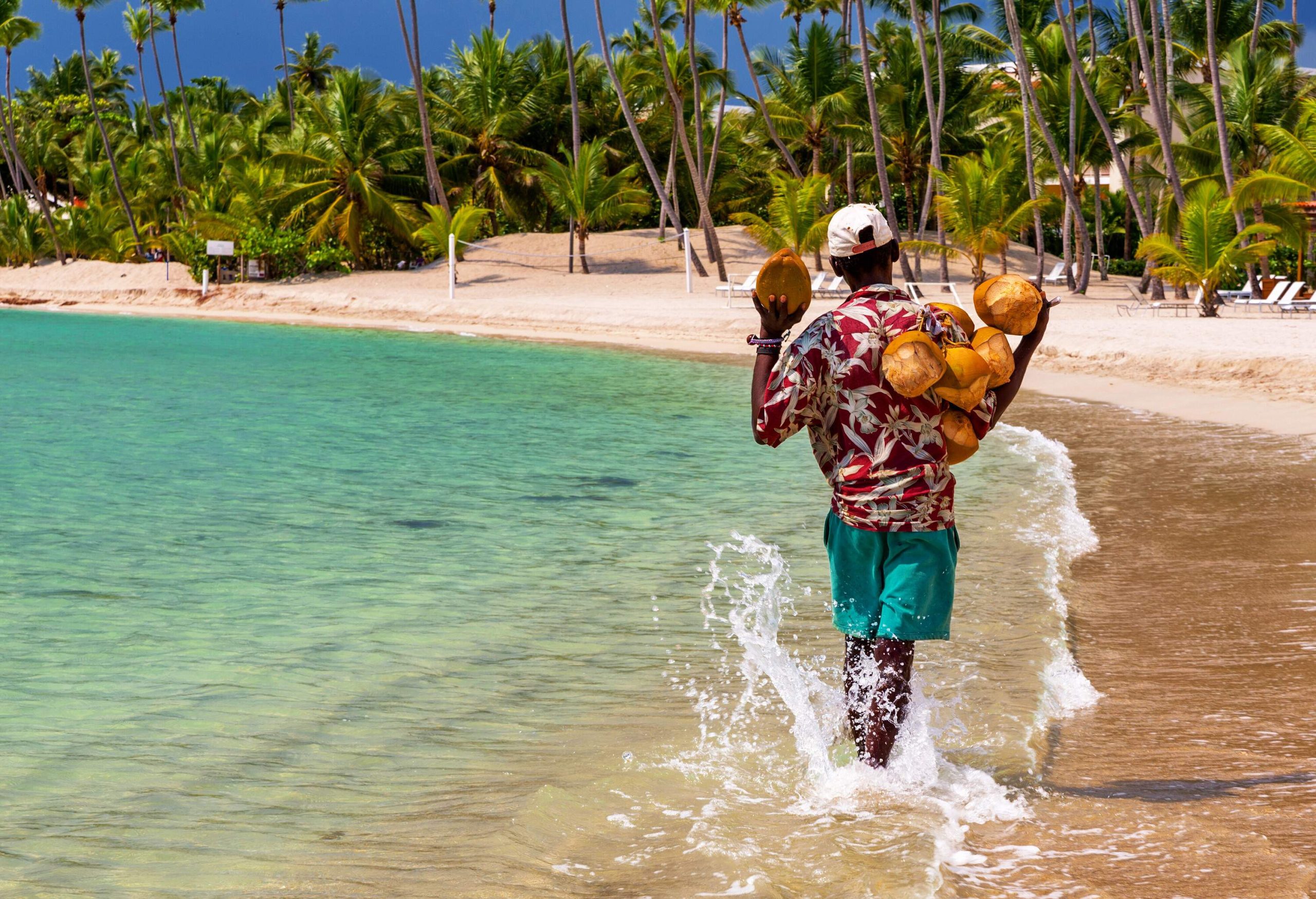 A man in a printed shirt and white cap carries coconuts as he walks on the shallow waters of a beach towards a grove of palm trees.