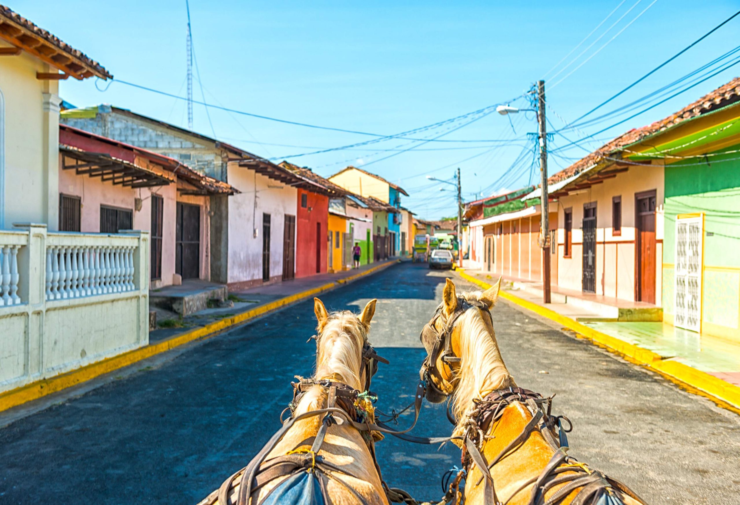 Two horses work together, pulling a load along a charming street, while a row of colourful houses lines the vibrant thoroughfare.