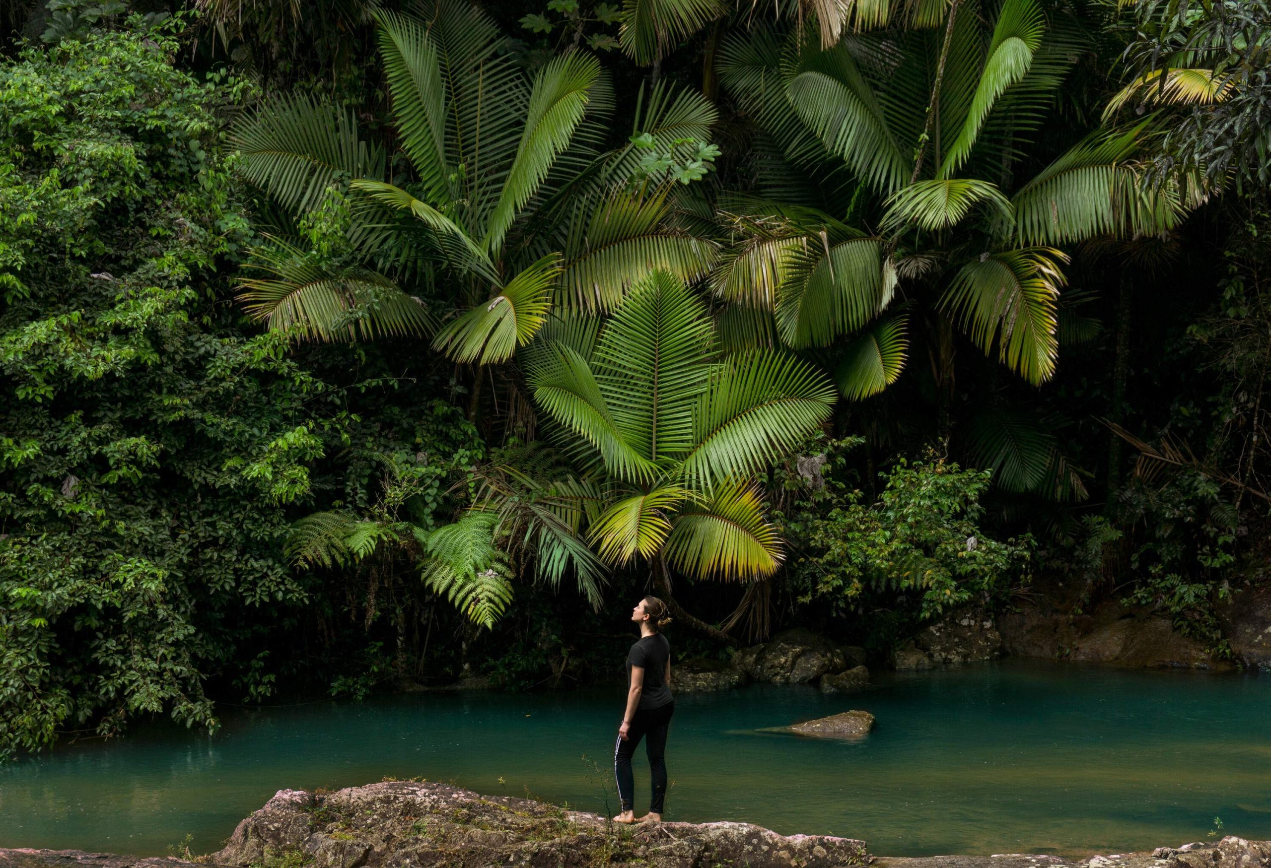 Puerto Rico, El Yunque National Forest
