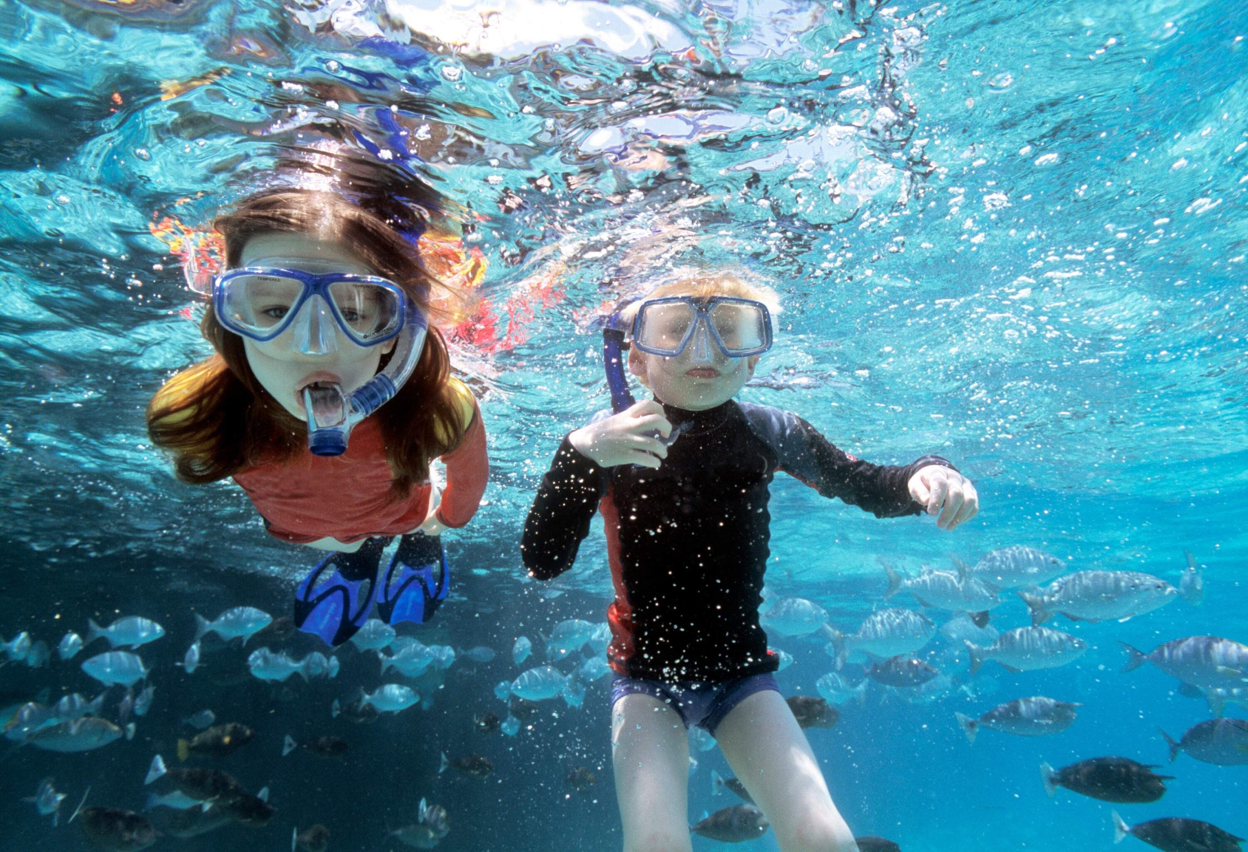 Two kids are snorkelling under water, surrounded by lovely, colourful fish.