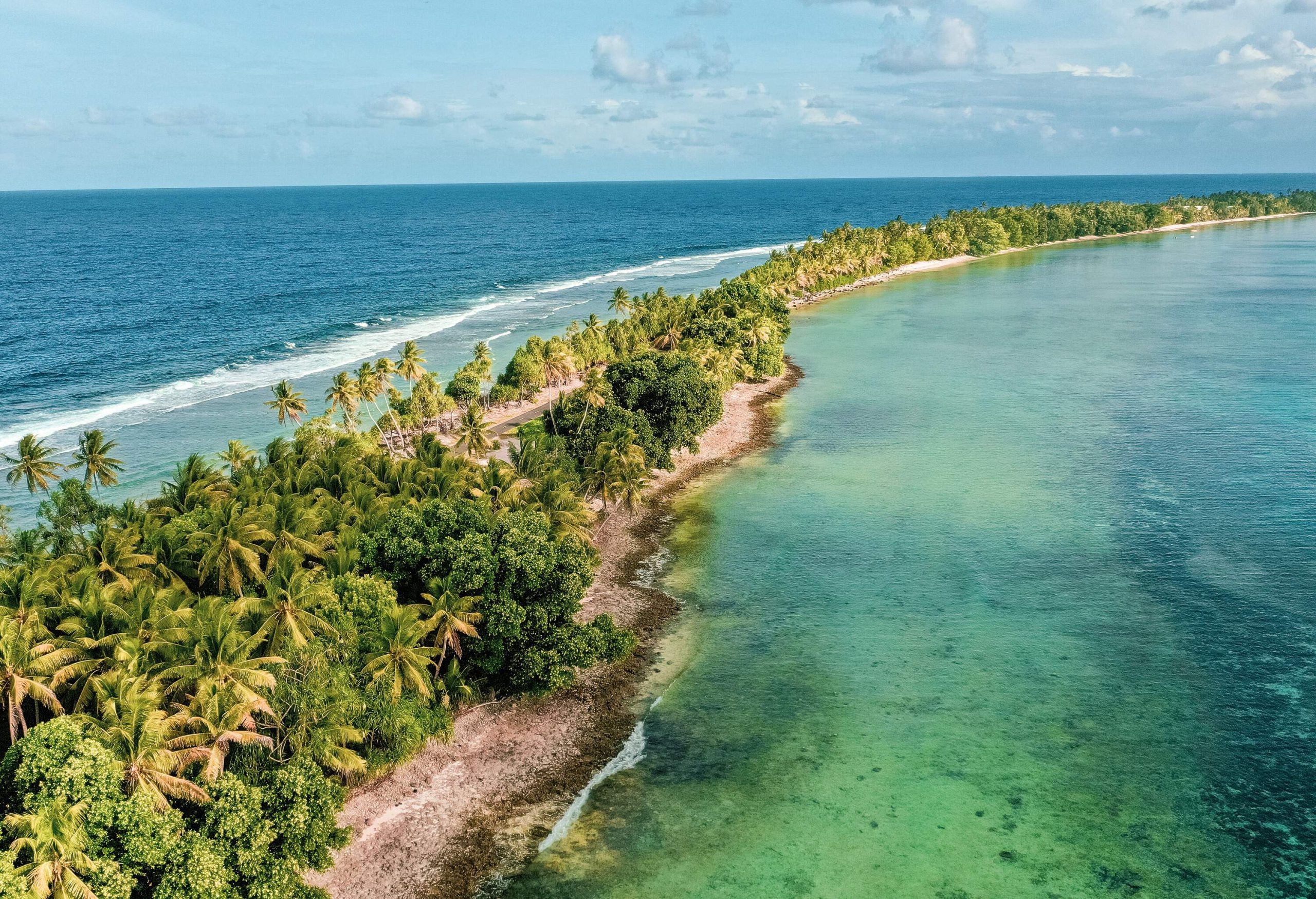 A narrow and long island full of tall green trees surrounded by the blue sea.