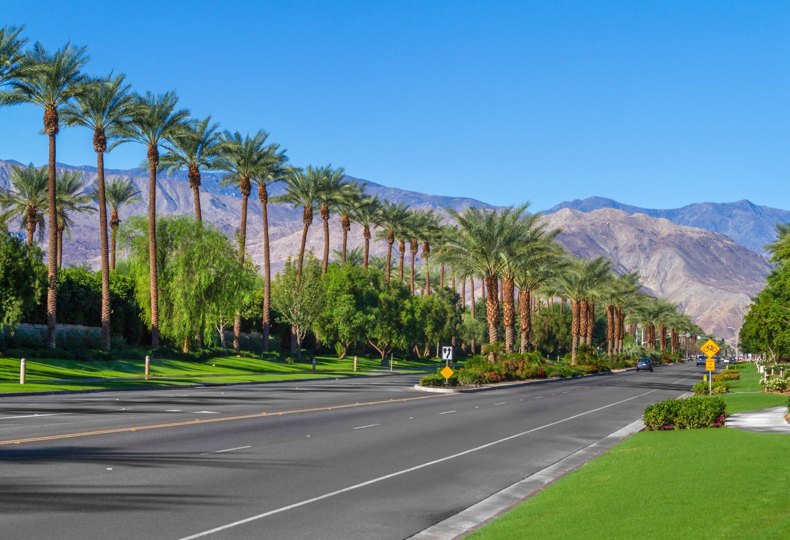 A landscaped roadway bordered by green lawns and towering palm trees.