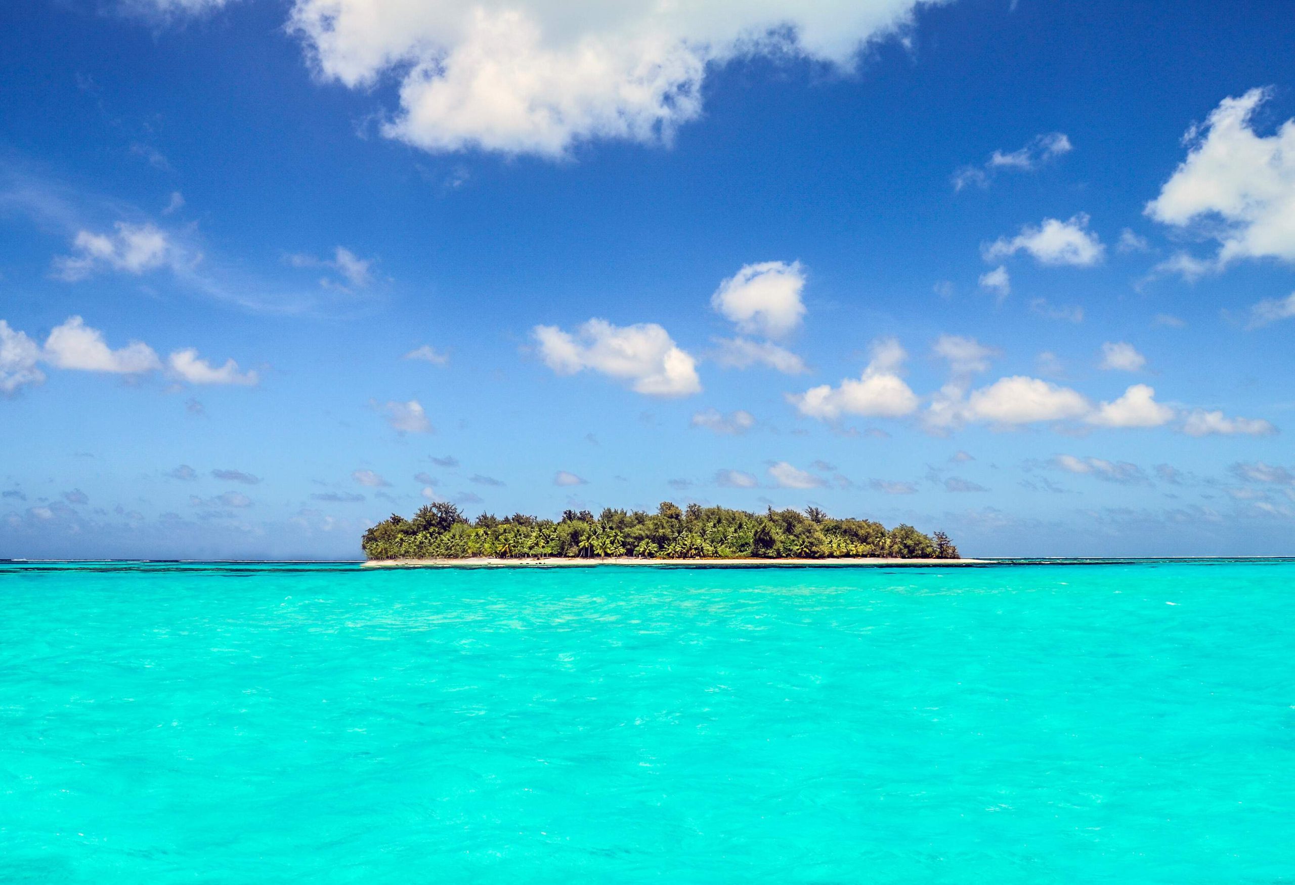 An island covered in lush tropical trees in the centre of a turquoise ocean.