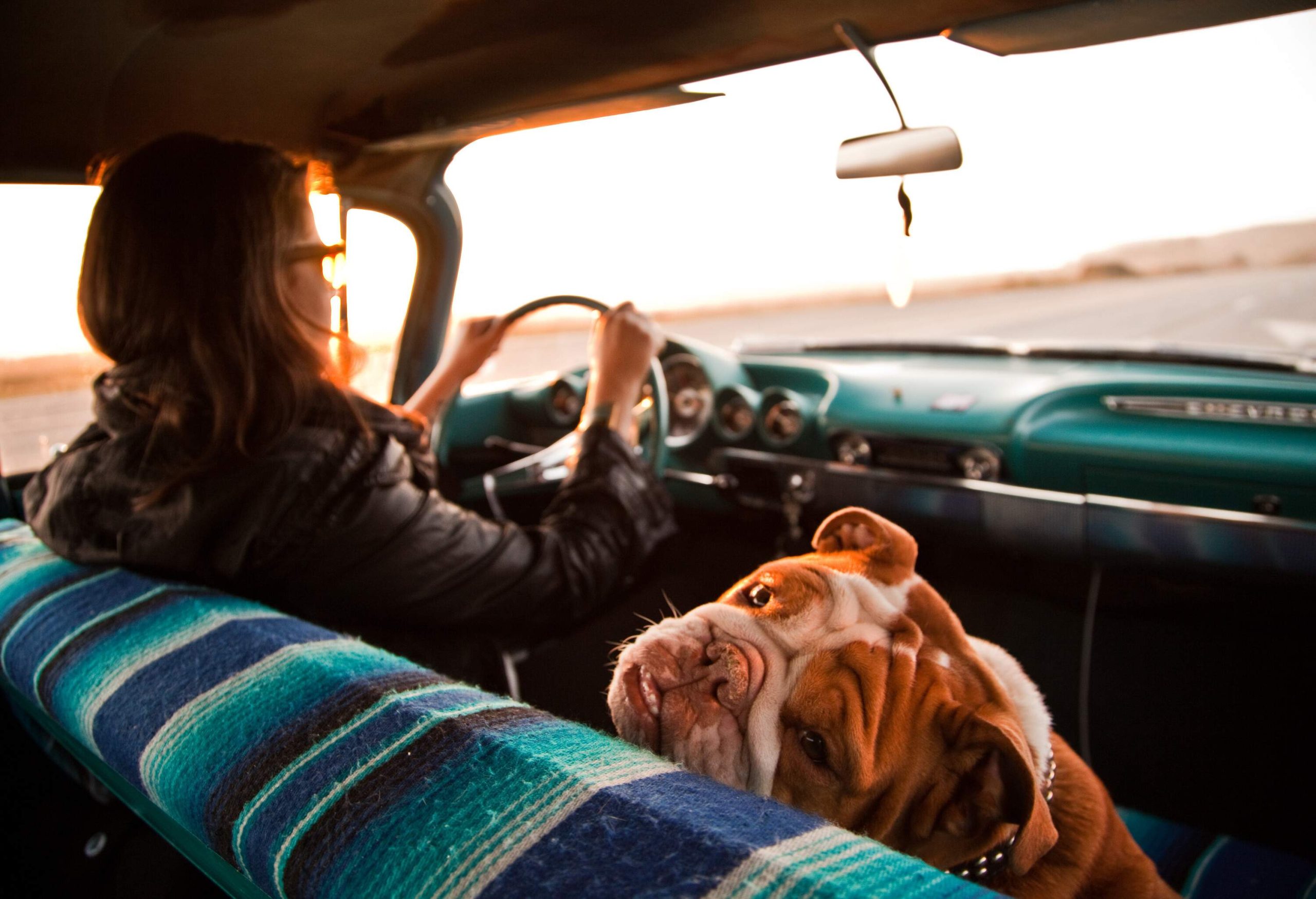 A brunette woman drives a car while a dog glances back from the passenger's seat.