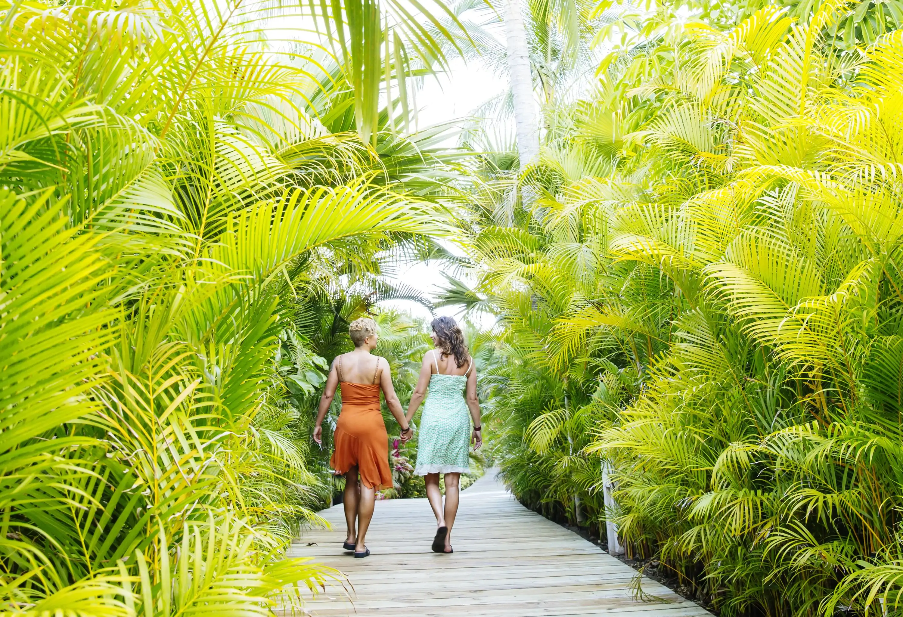 Two women holding hands while walking on a wooden footpath lined with palm trees.