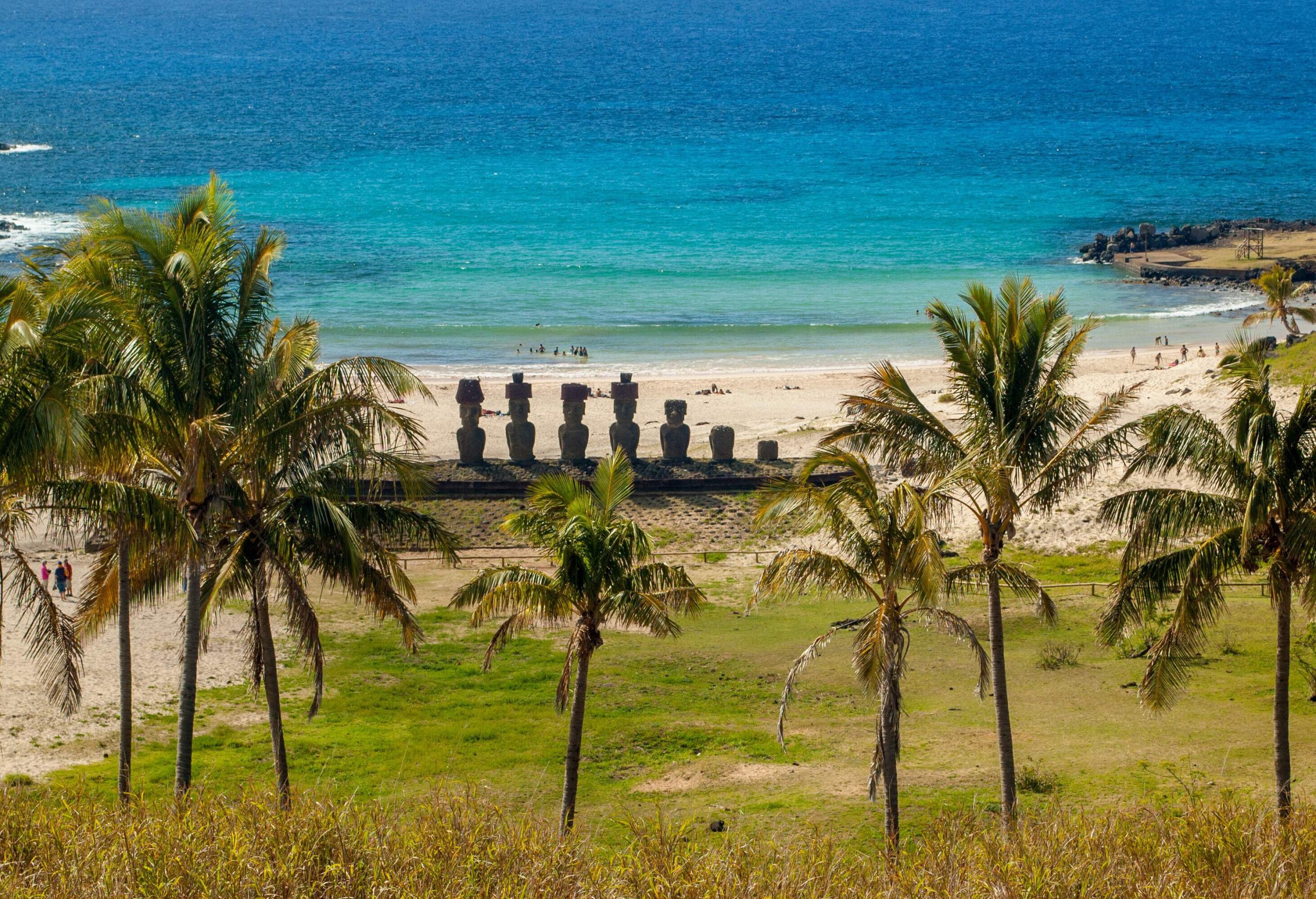 Coconut trees scattered across a grassy area along the beach, with a row sculpted figures on the sand.