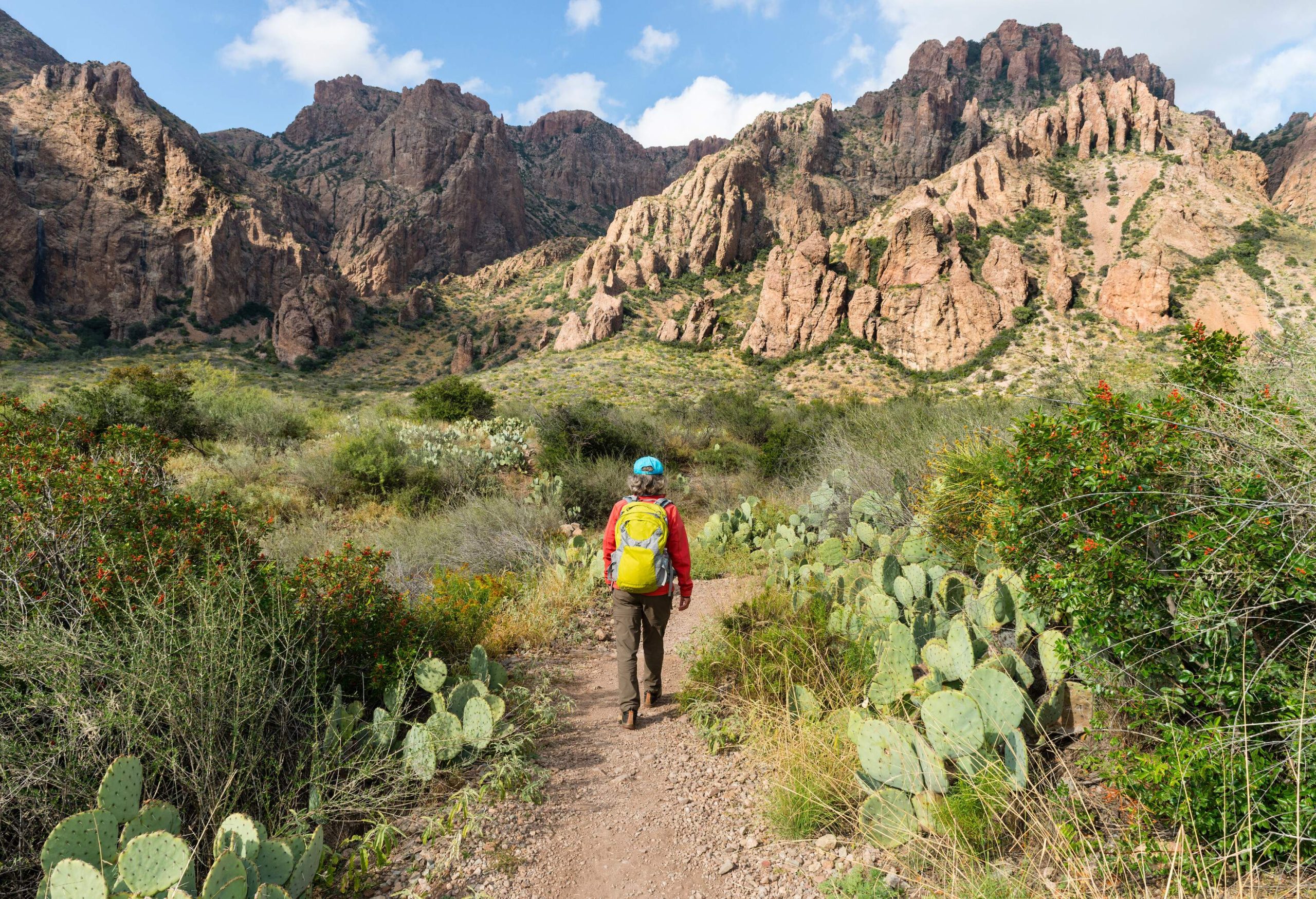 A hiker carries a yellow backpack and traverses a trail across desert plants towards the rugged mountains in the distance.