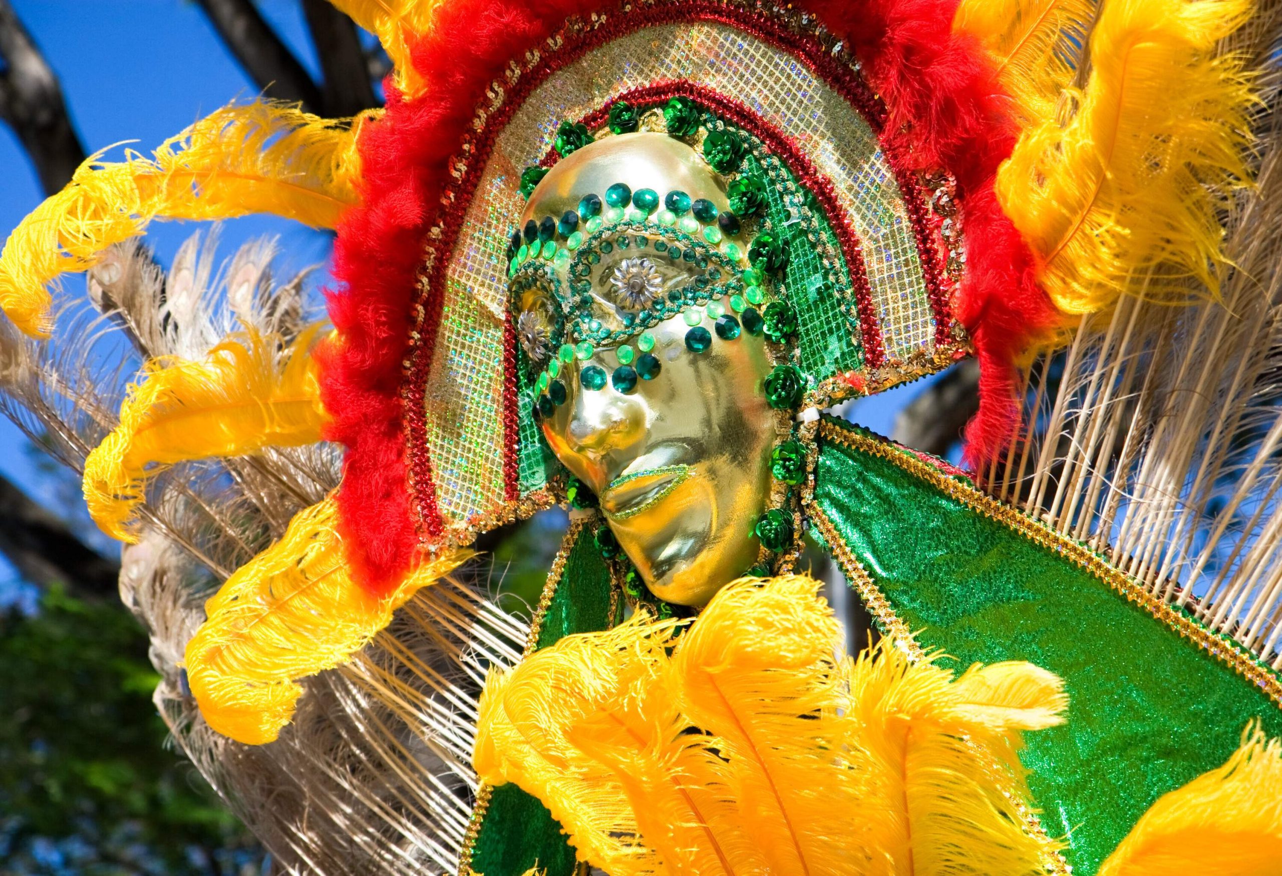 A vibrant carnival costume embellished with feathers and beads.