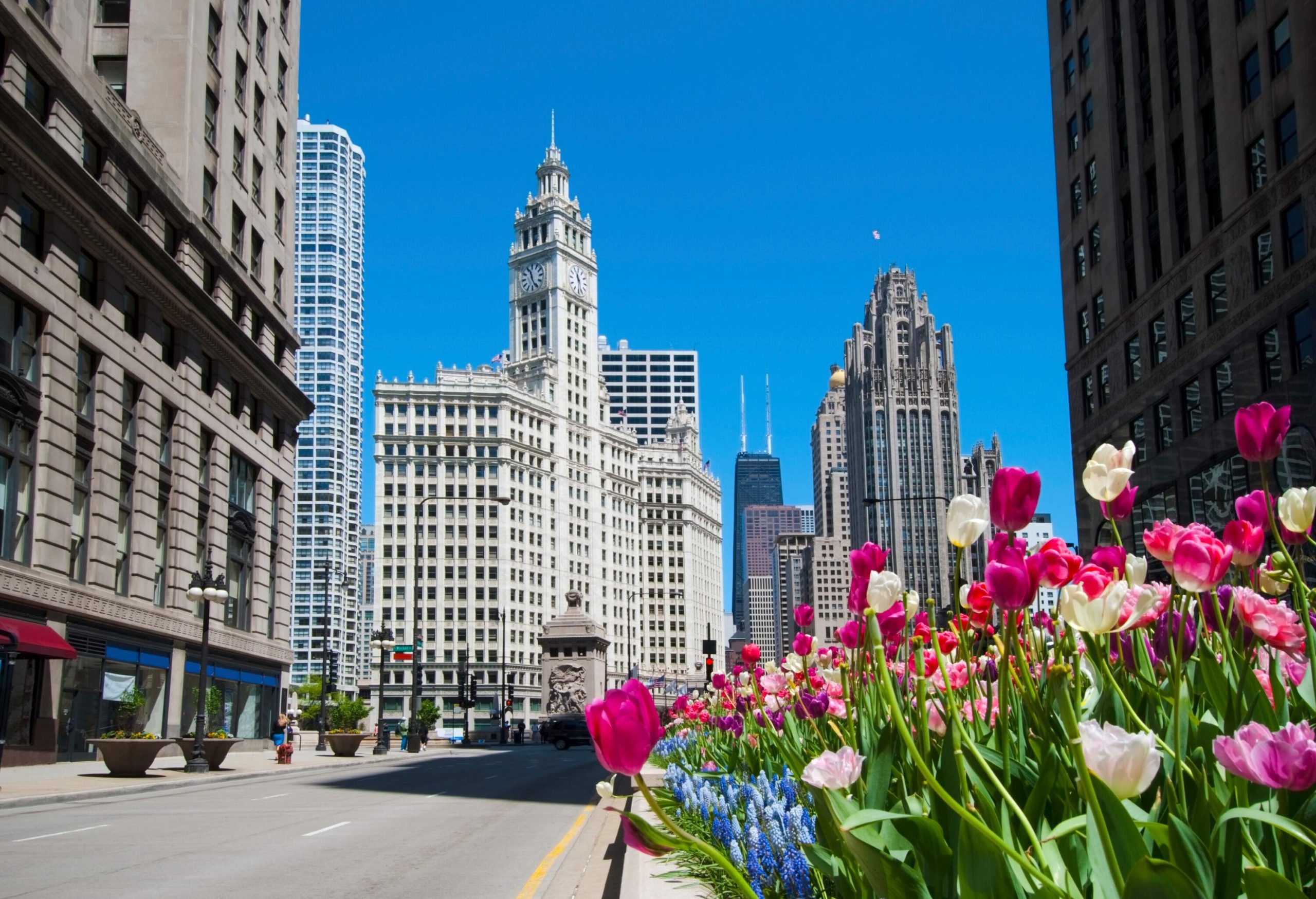 A paved street is flanked by towering iconic buildings.