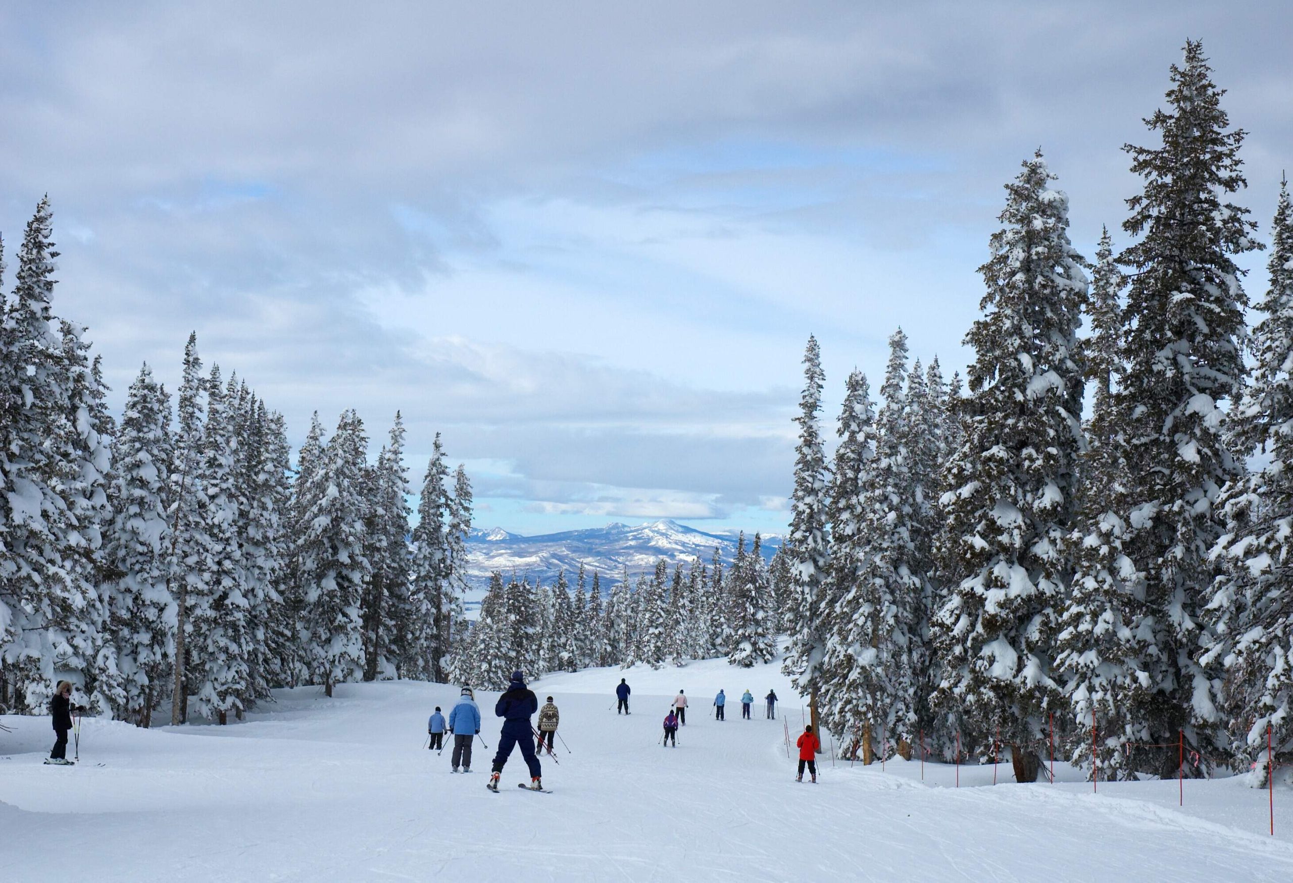 People skiing at a ski resort lined with tall frosty pine trees overlooking snow-capped mountains.