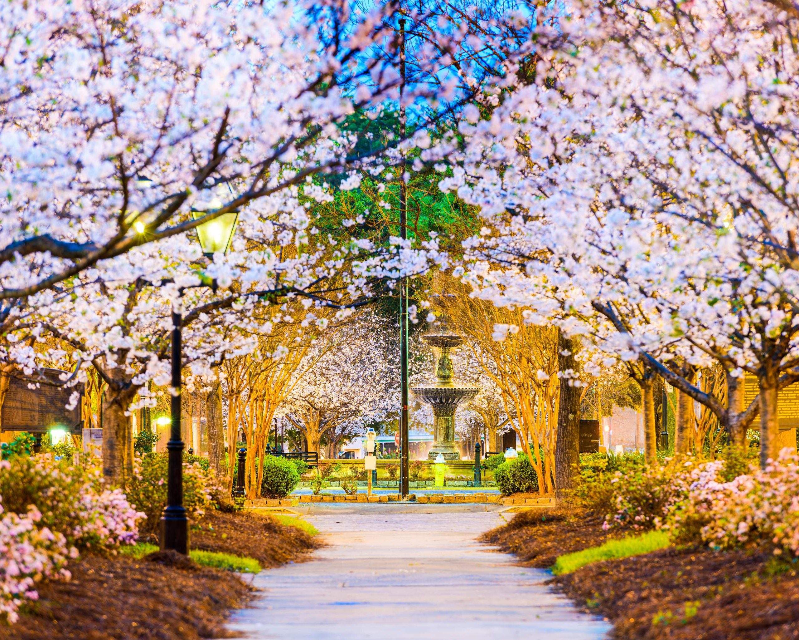 The 12 best places to travel in March 2025 - KAYAK