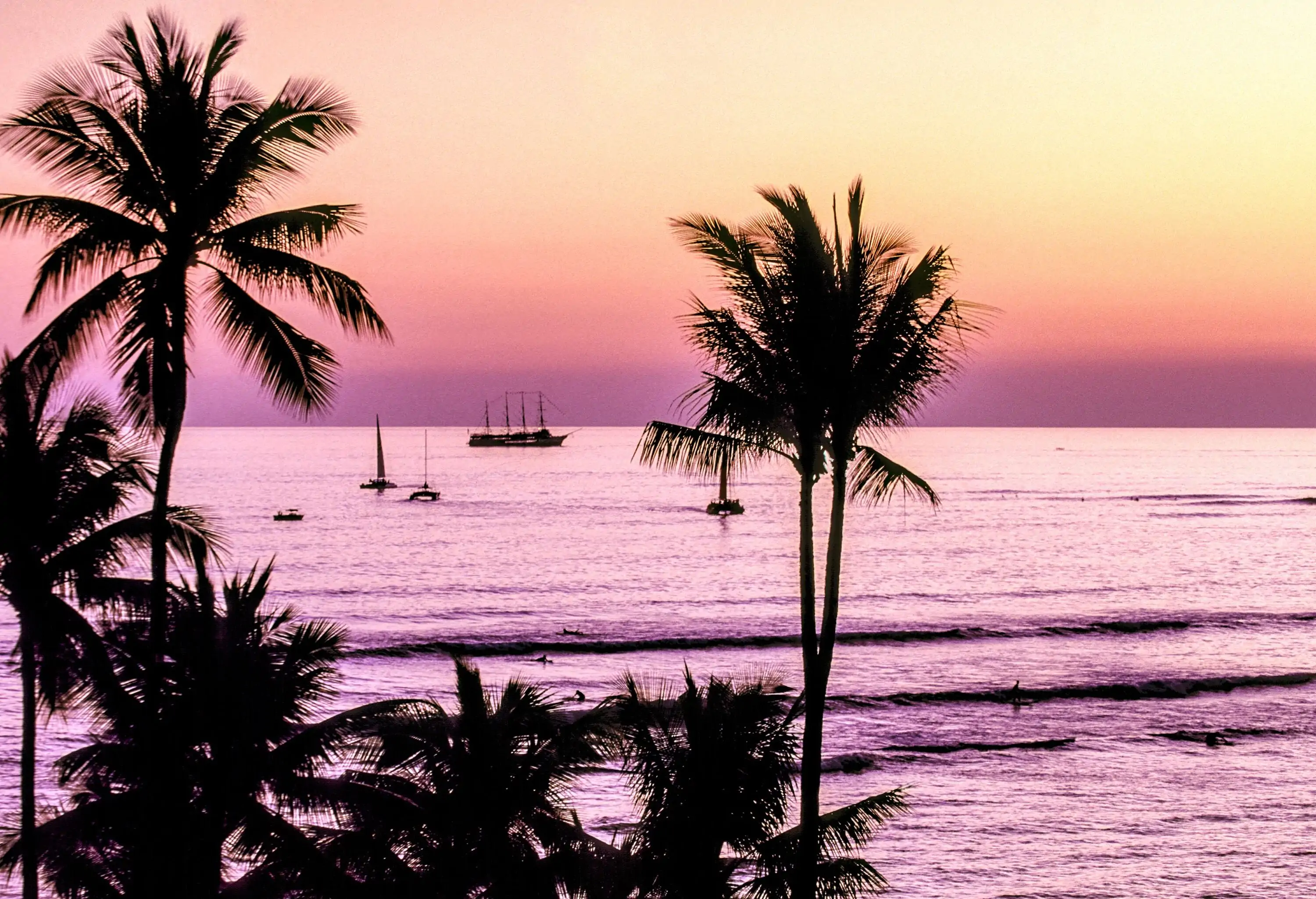 Behind the silhouettes of the palm trees are boats of various sizes sailing on the tranquil sea against a scenic sky.