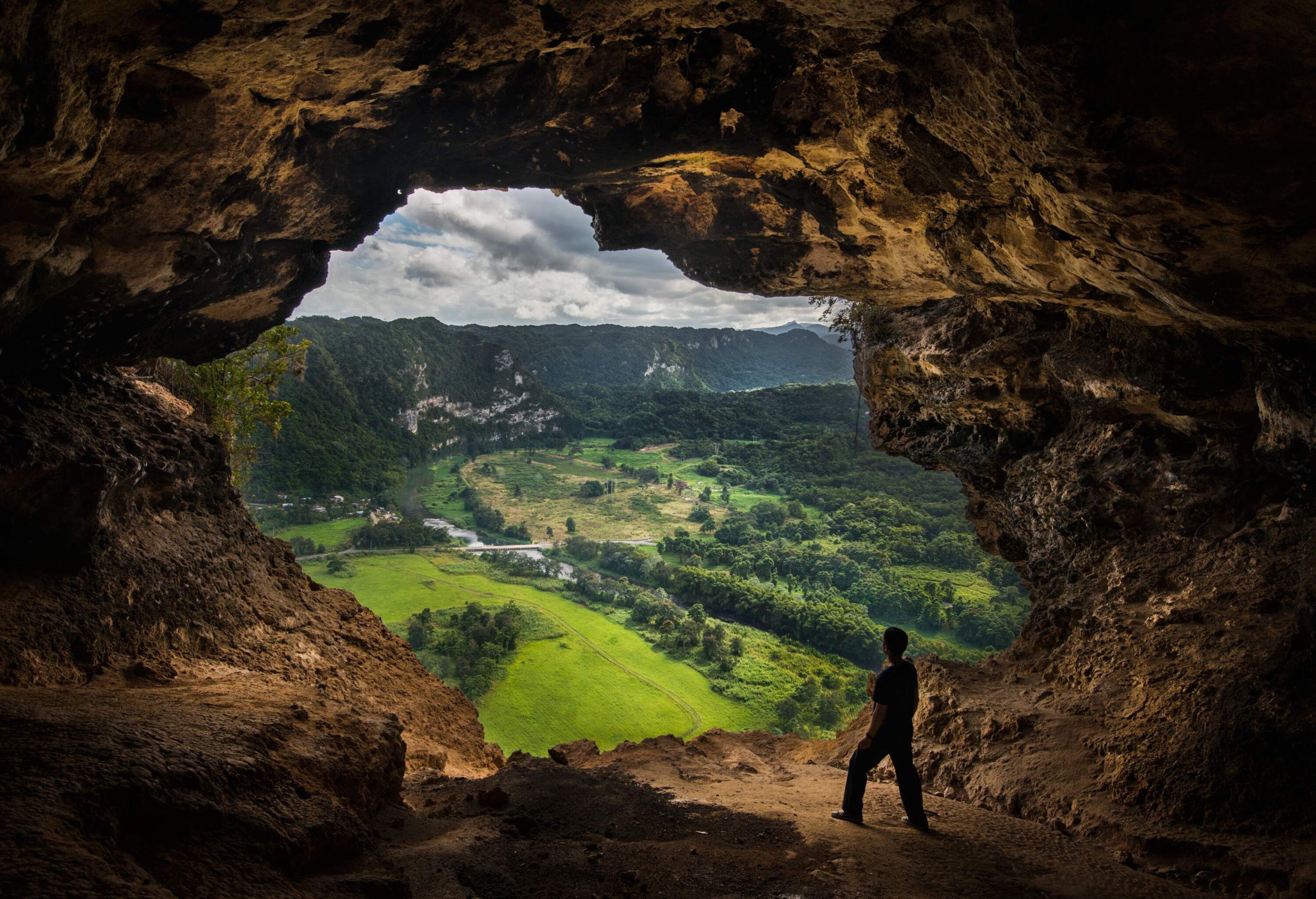 A person standing near the opening of a cave looking out into a lush grassland and trees.