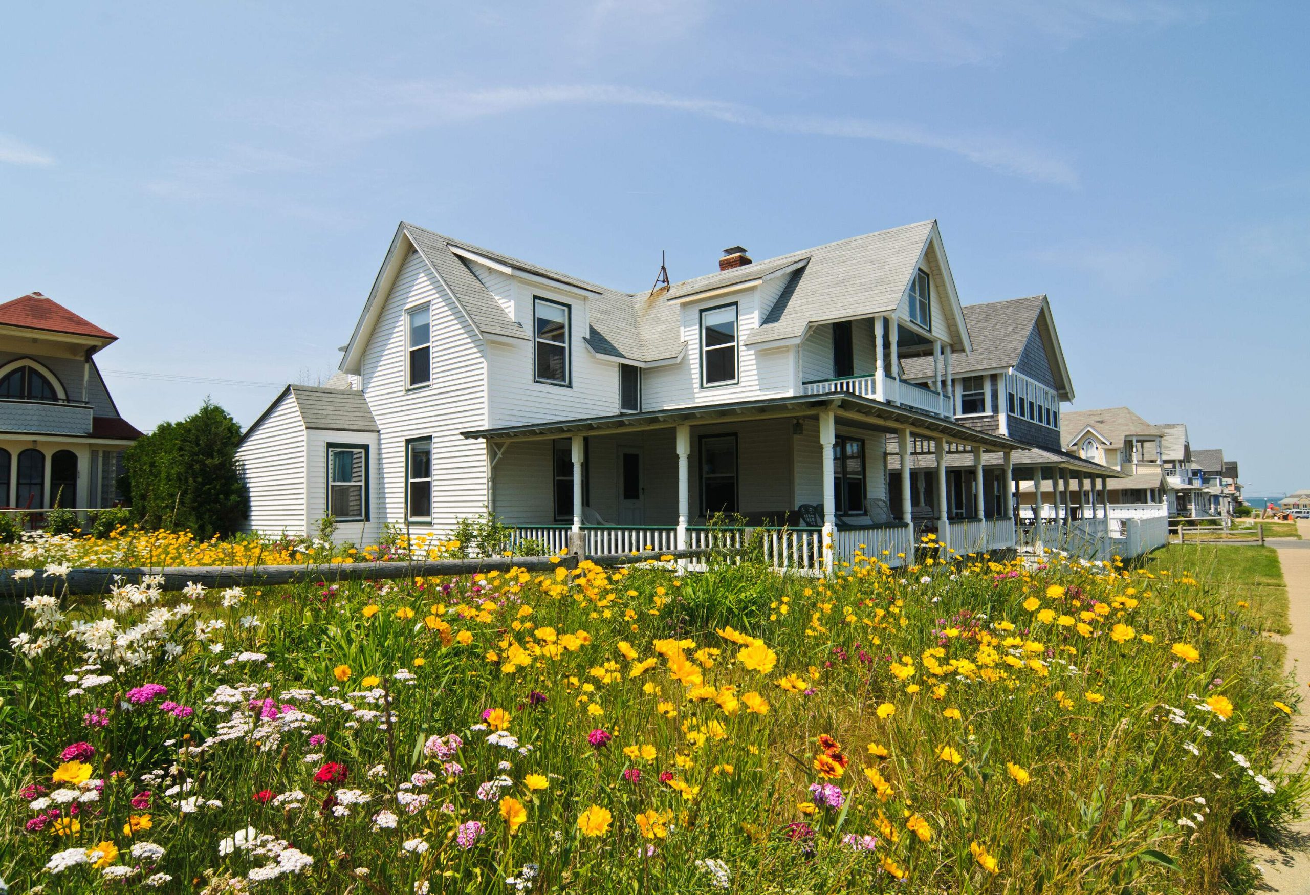 Wildflowers joyfully bloom in the yard of a quaint seaside cottage, adding a burst of vibrant colours and a touch of natural beauty to the coastal setting.