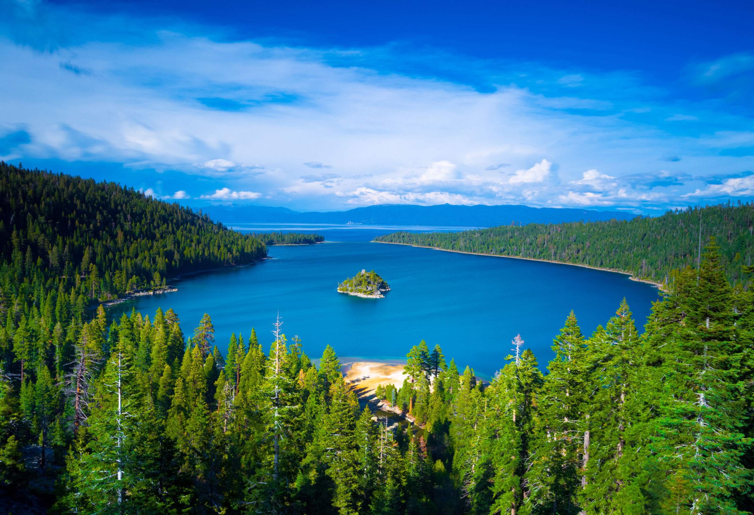 A pine forest surrounds an island in the middle of a blue lake.