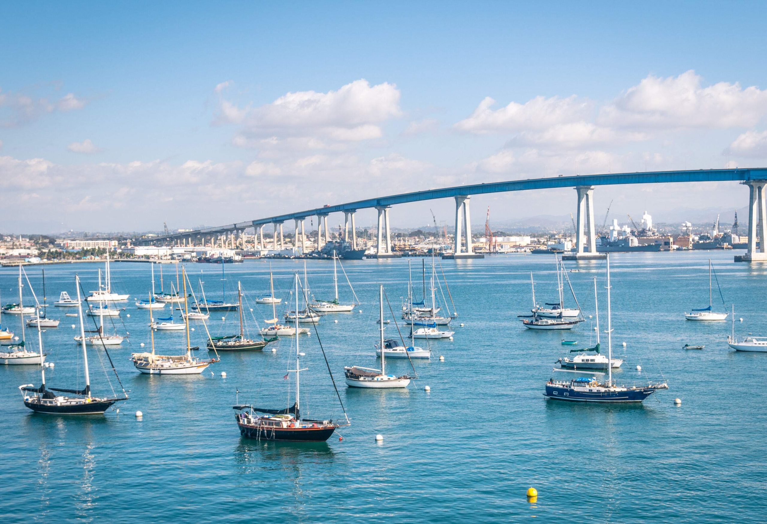 A series of sailboats floating on a harbour with views of an elevated road bridge across a calm bay.