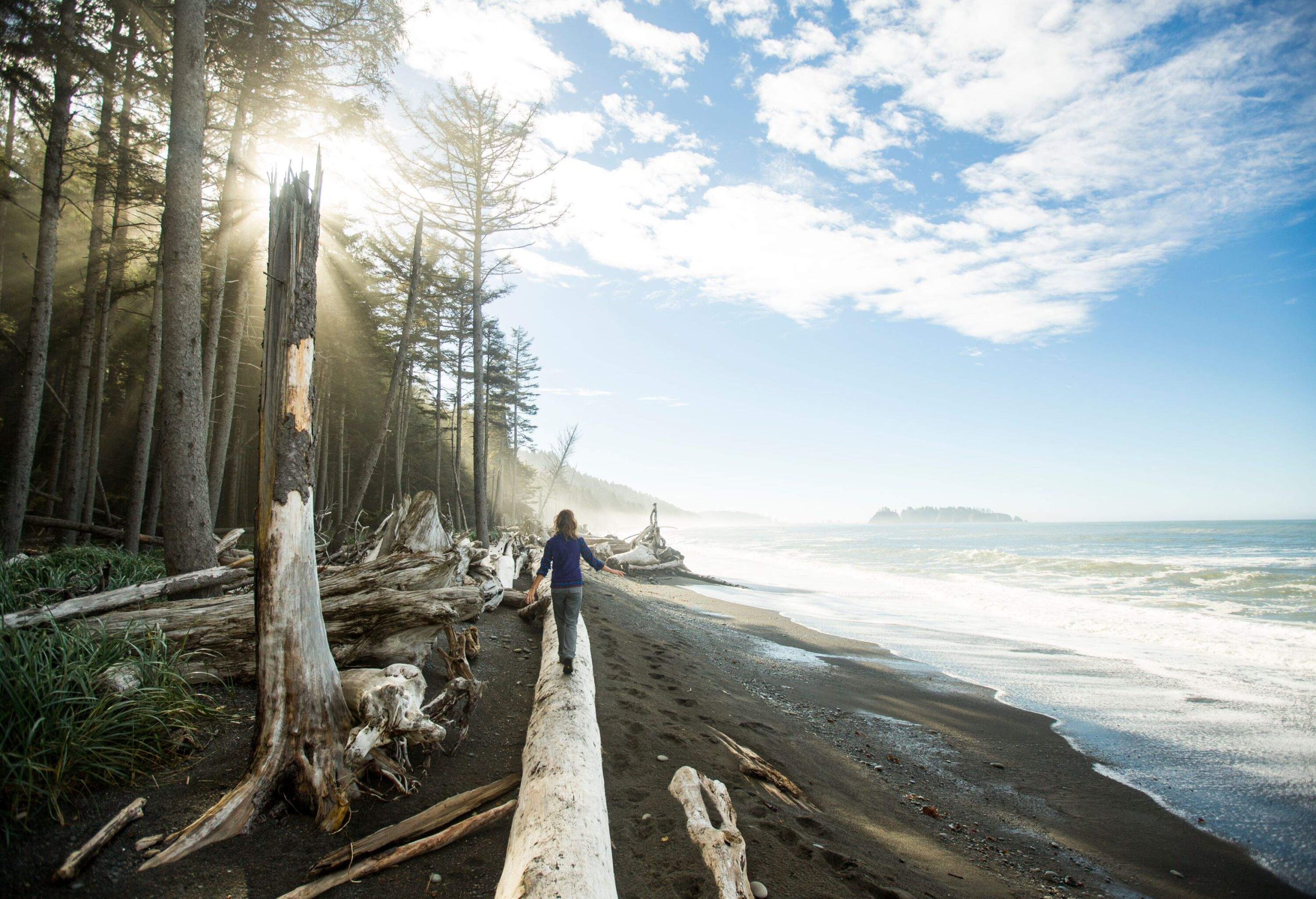 Backpacking along the coast in the Olympic National Park.