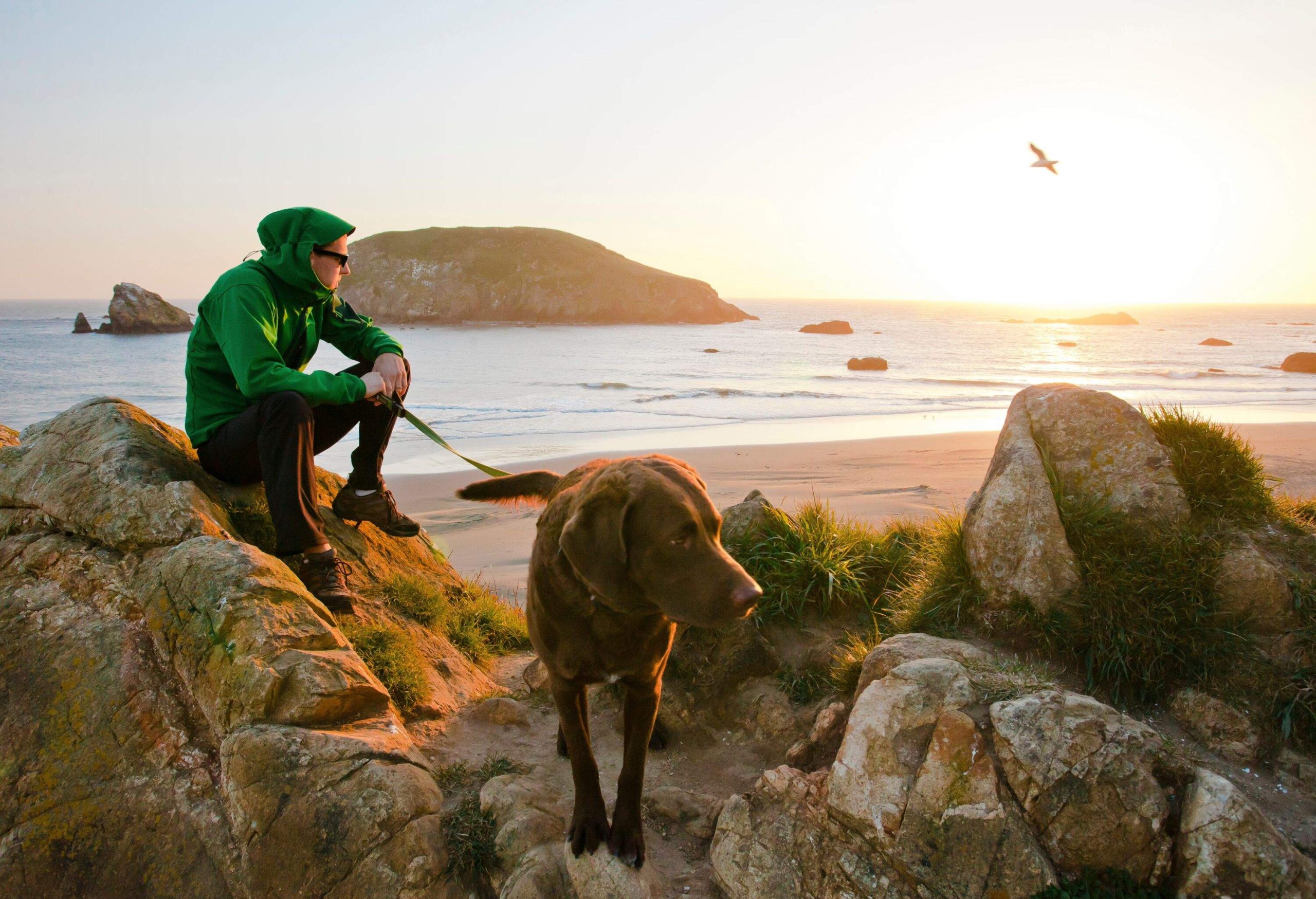 dest_usa_oregon_harris-beach_gettyimages-1325097982