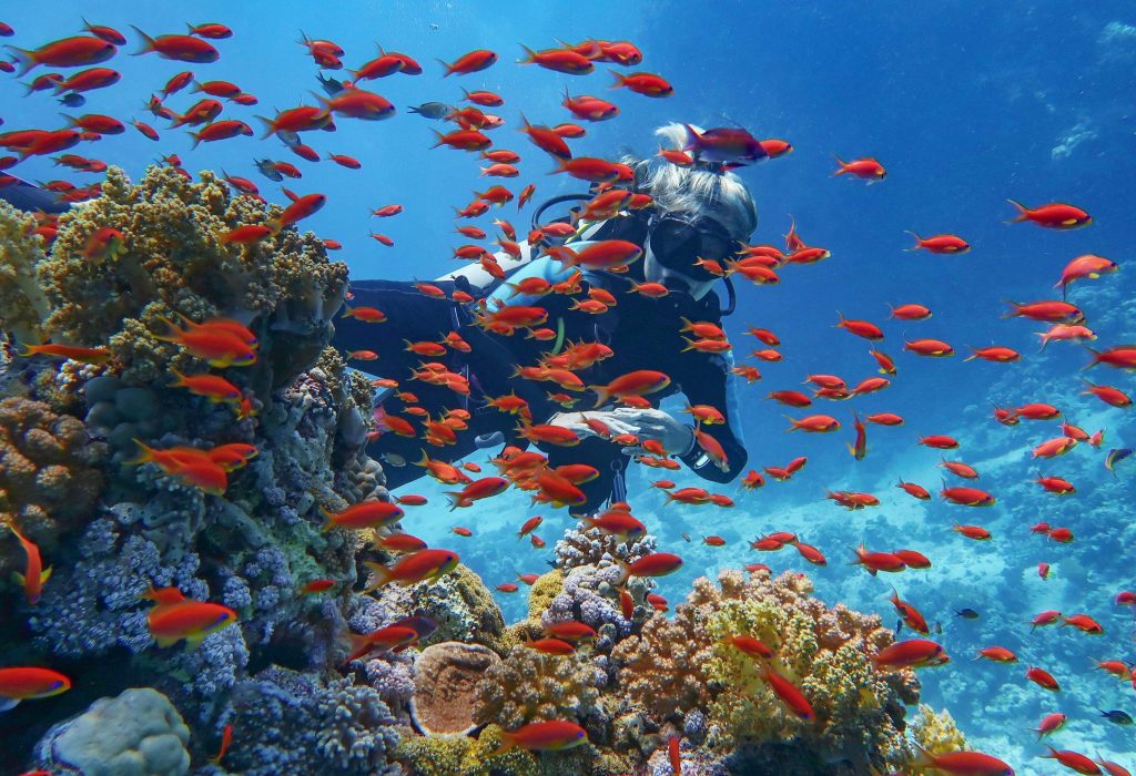 A male diver swimming among orange fish and a diverse array of coral reefs.