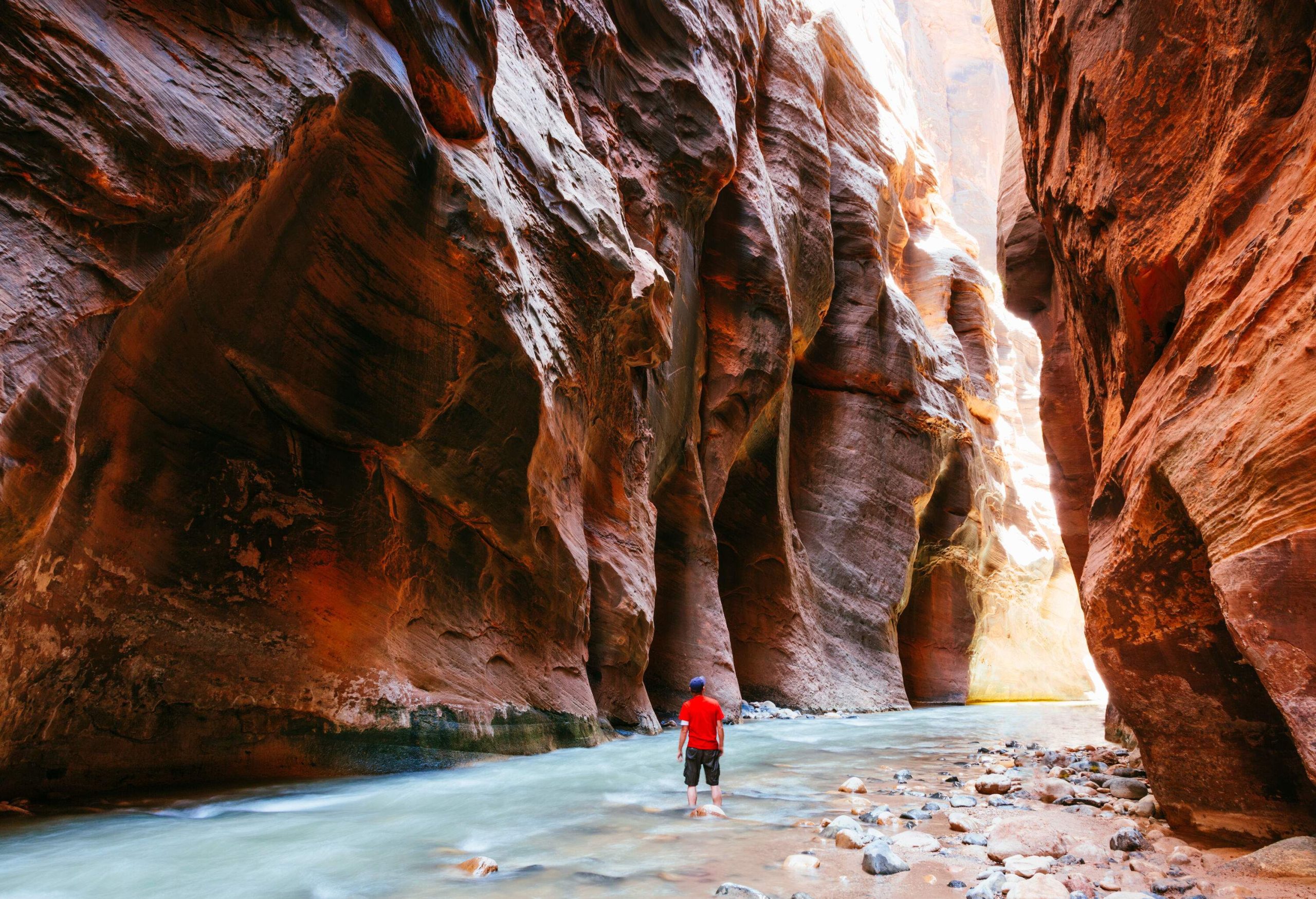 Man in a red shirt stands on a rocky river while gazing up to the steep and eroded walls of a canyon.