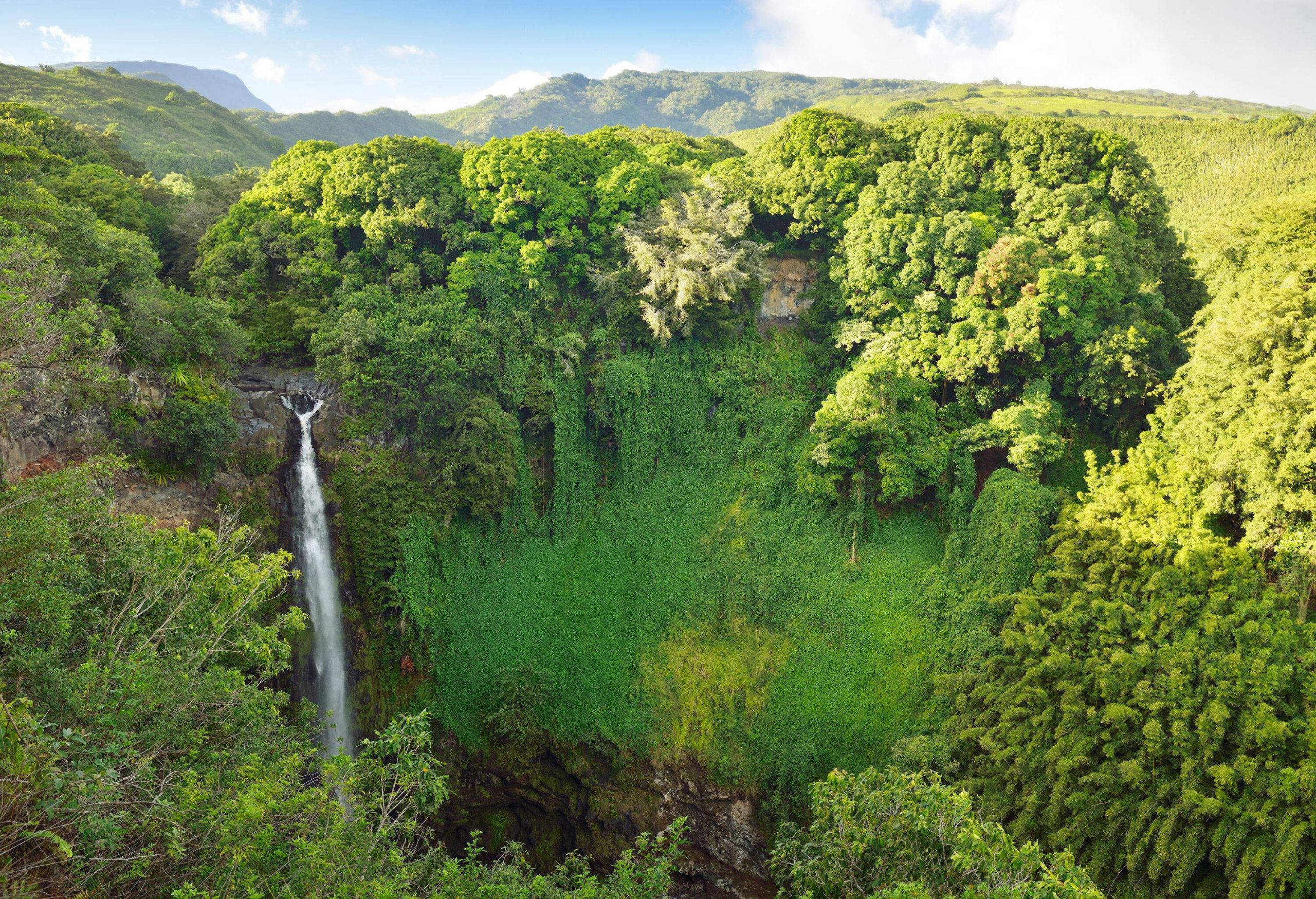 A captivating waterfall nestled amidst a verdant landscape that gracefully descends from towering cliffs, creating a picturesque scene of natural wonder.