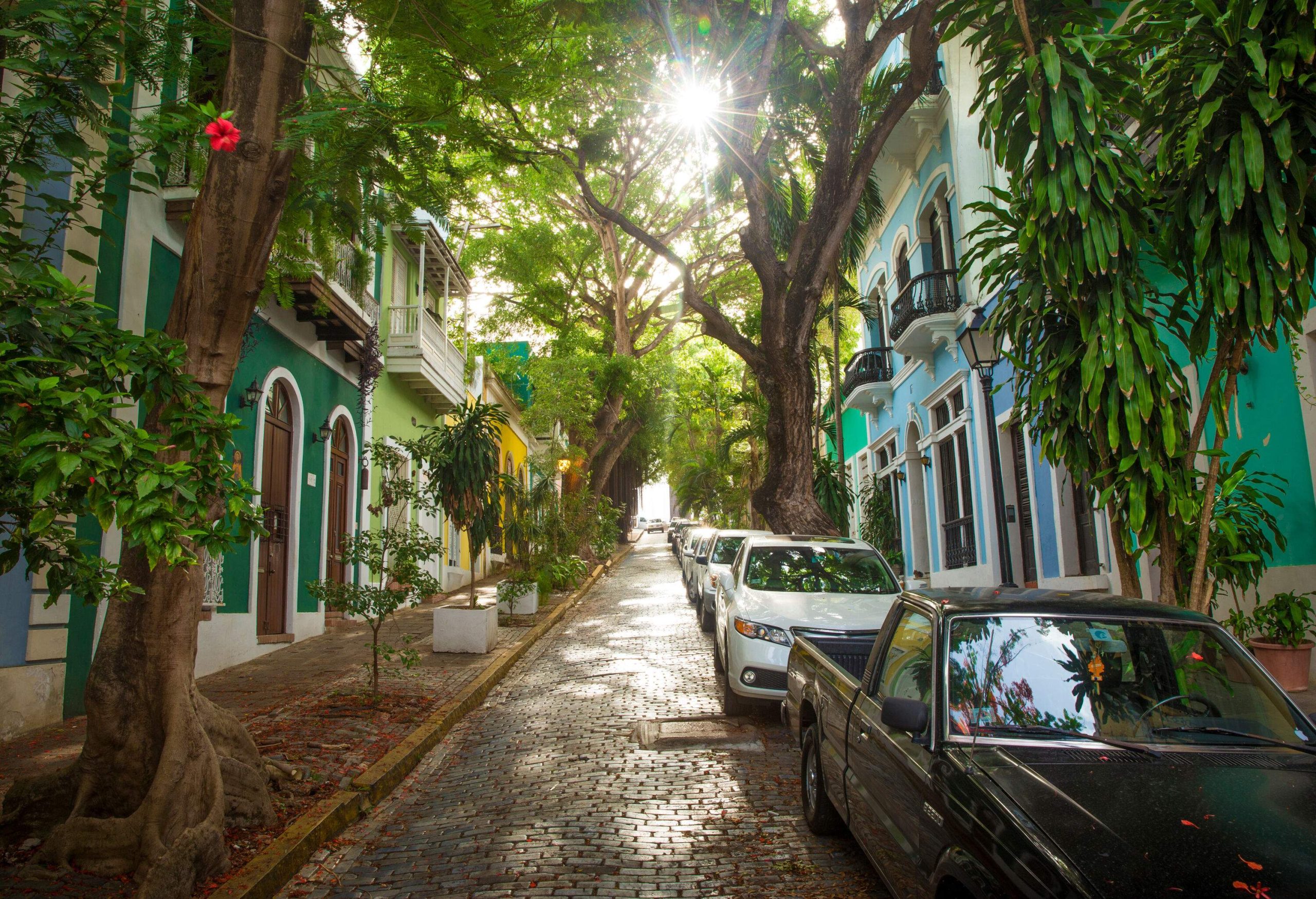 The piercing rays of the sun cutting through the trees hovering above a path crammed with parked cars and buildings.