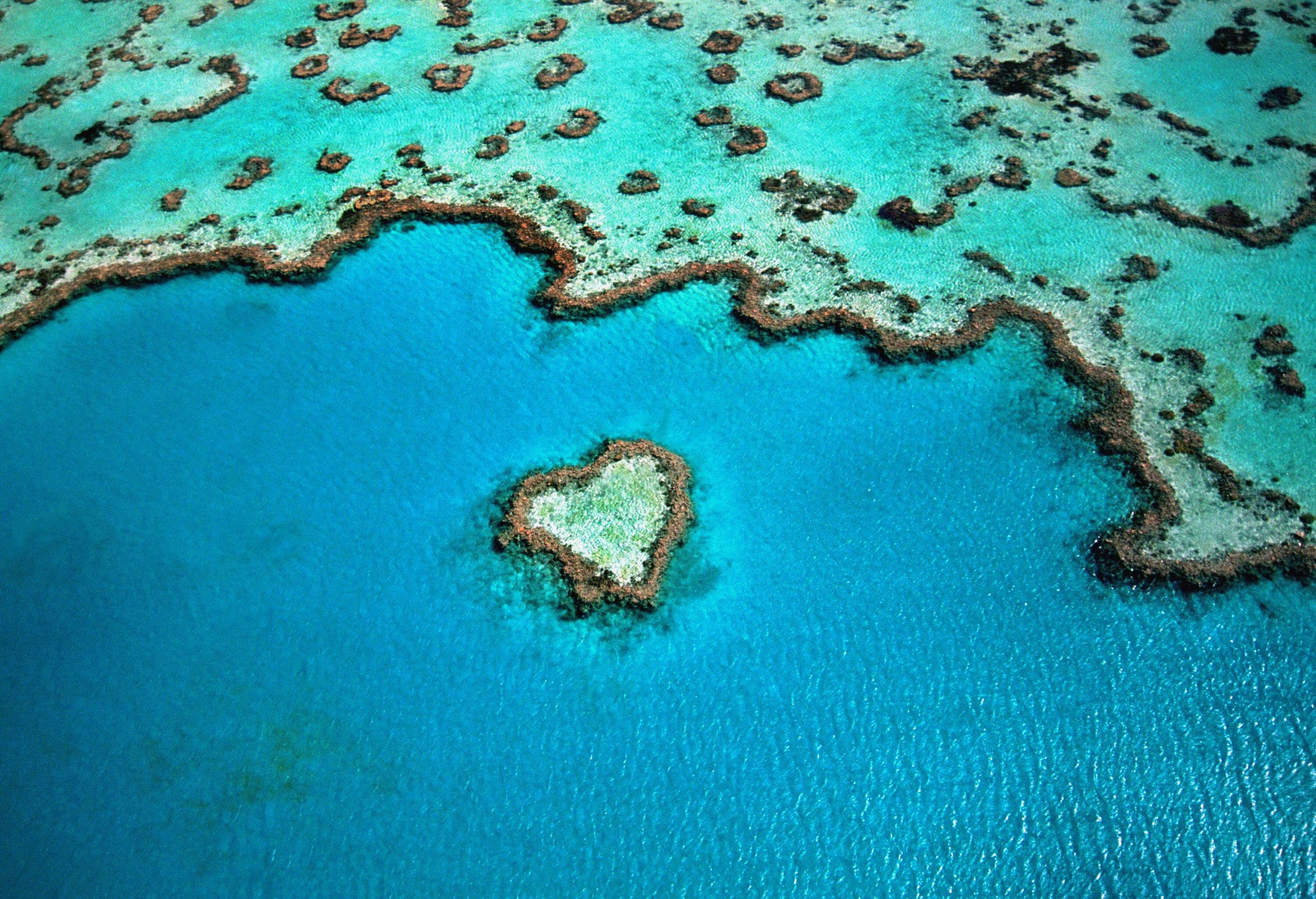 A heart-shaped coral reef emerges from the turquoise ocean waters.