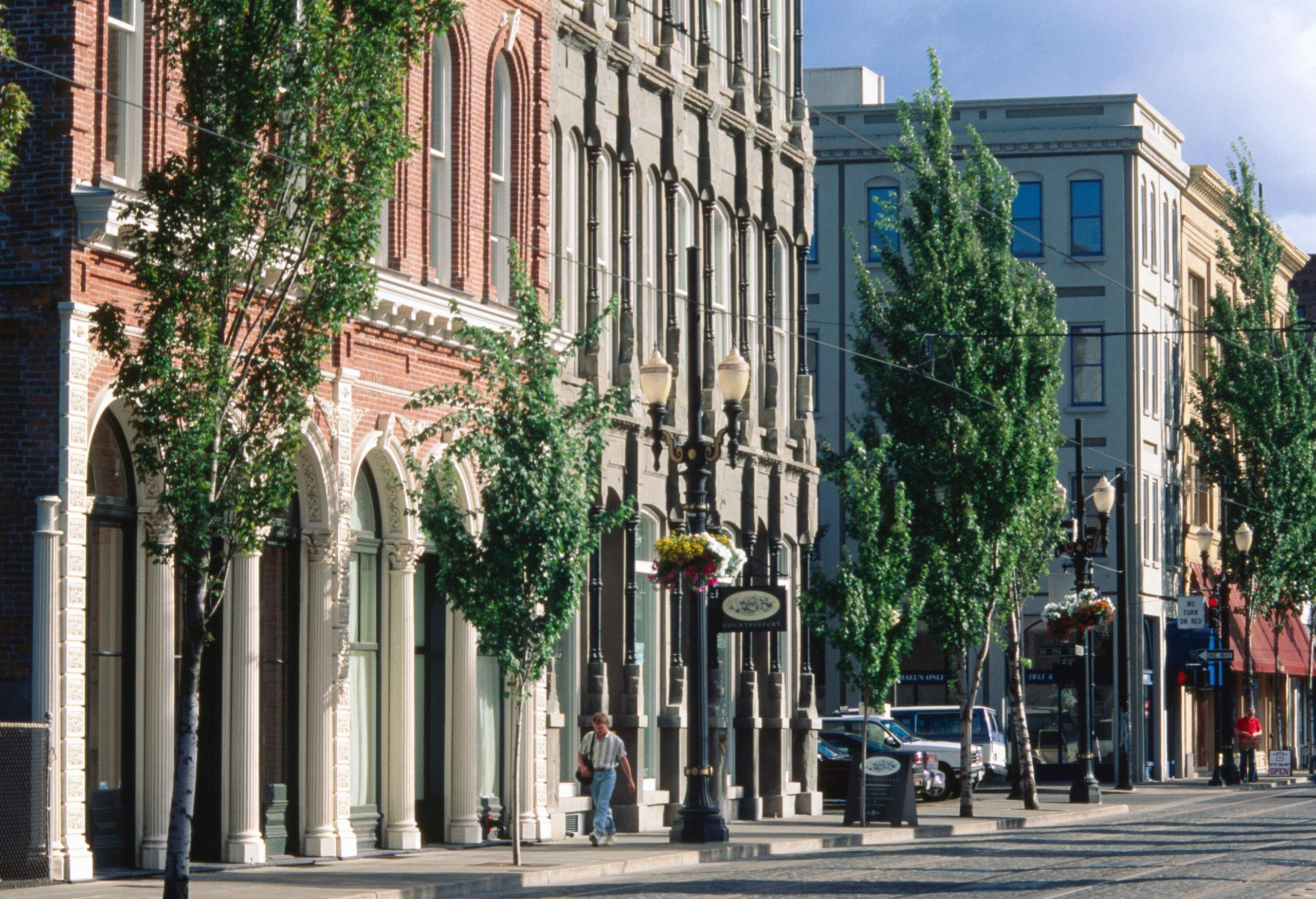 A lone man walking on the sidewalk along the tall buildings line with trees on the street.