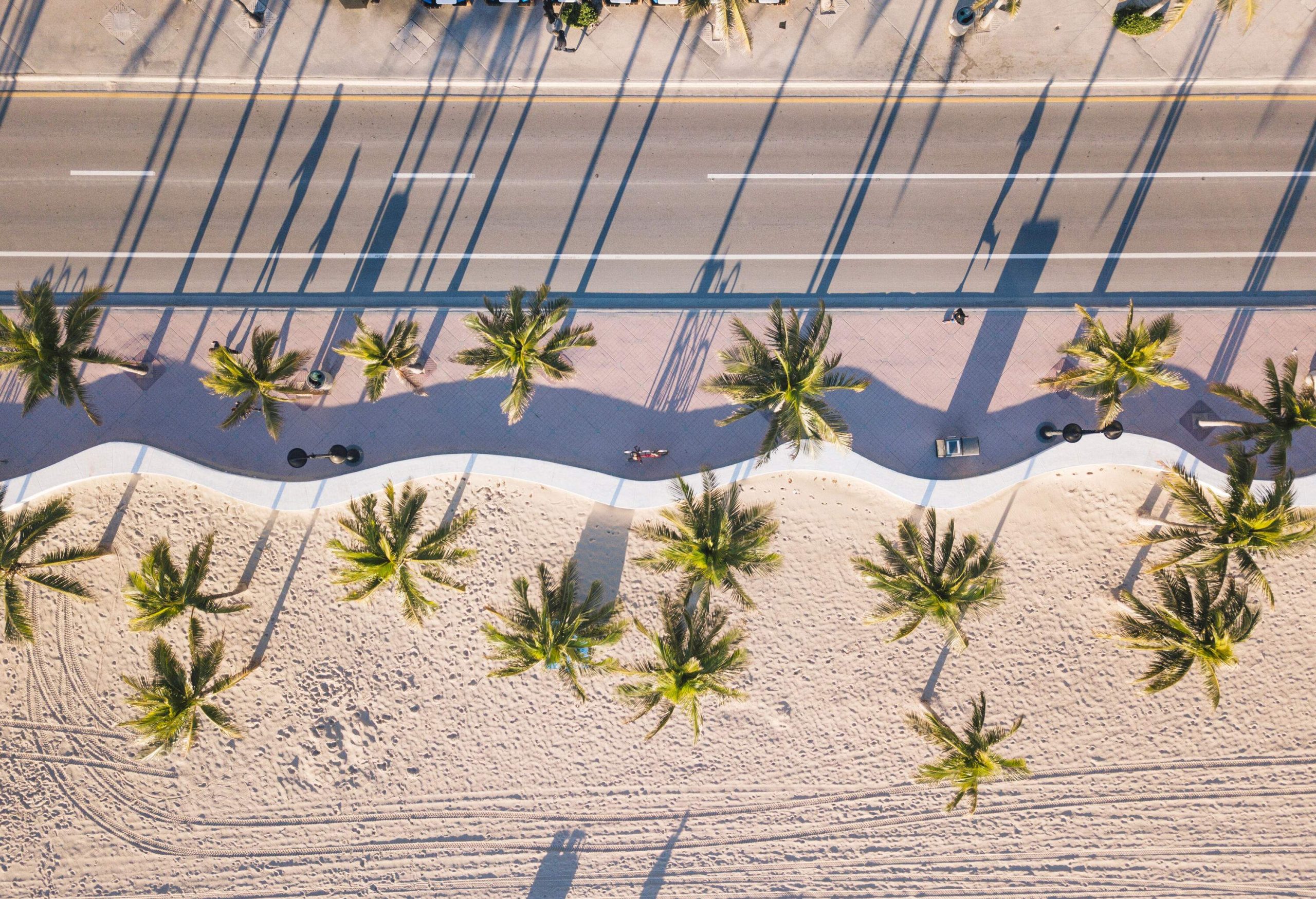 An empty street along a tree-lined promenade with a wavy concrete wall that separates the beach.