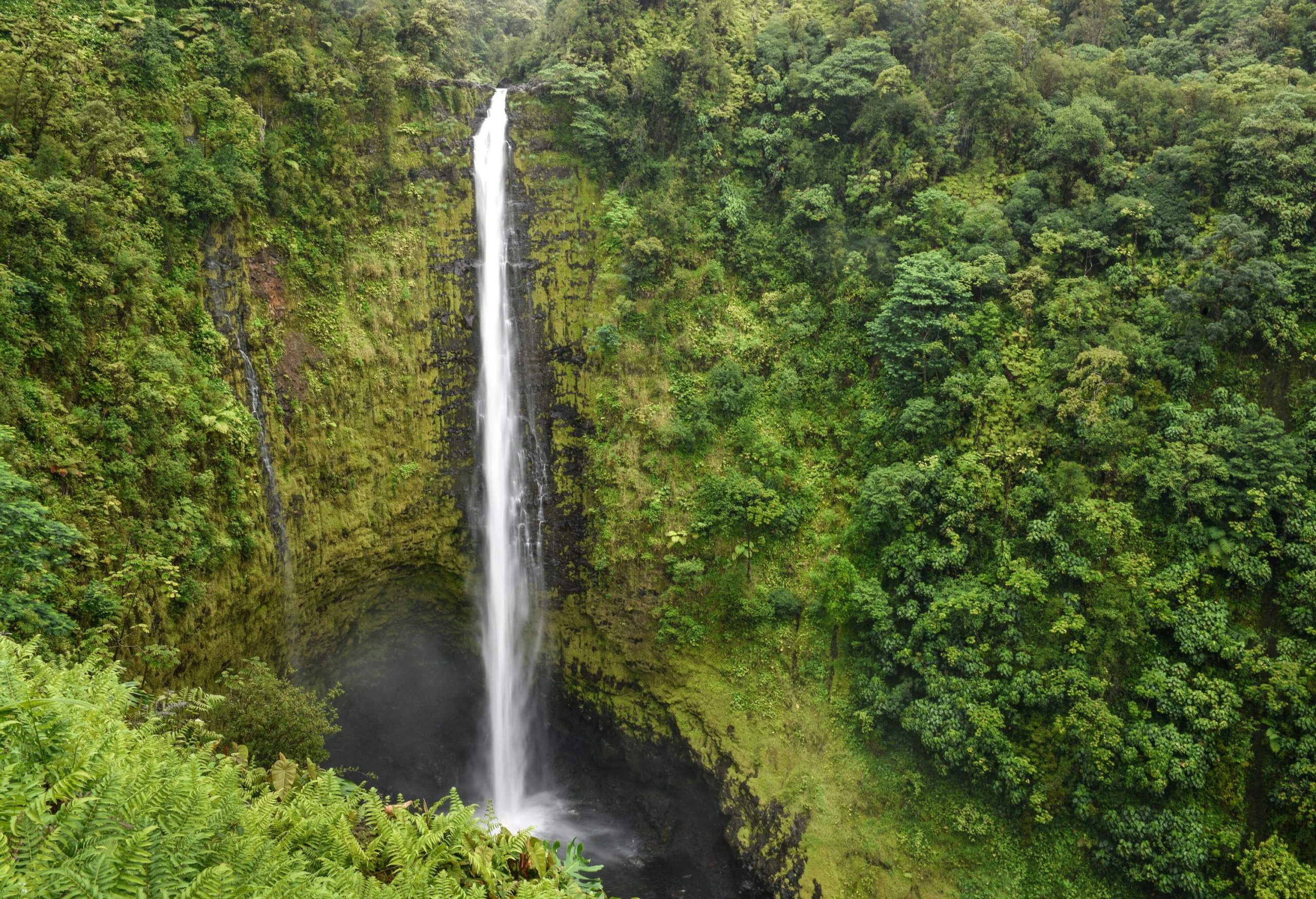 A long waterfall pours from a steep and forested cliff into a misty stream below.