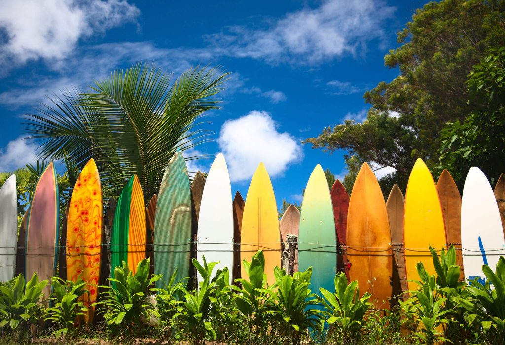 A colourful fence made of old surfing boards surrounded by lush foliage.
