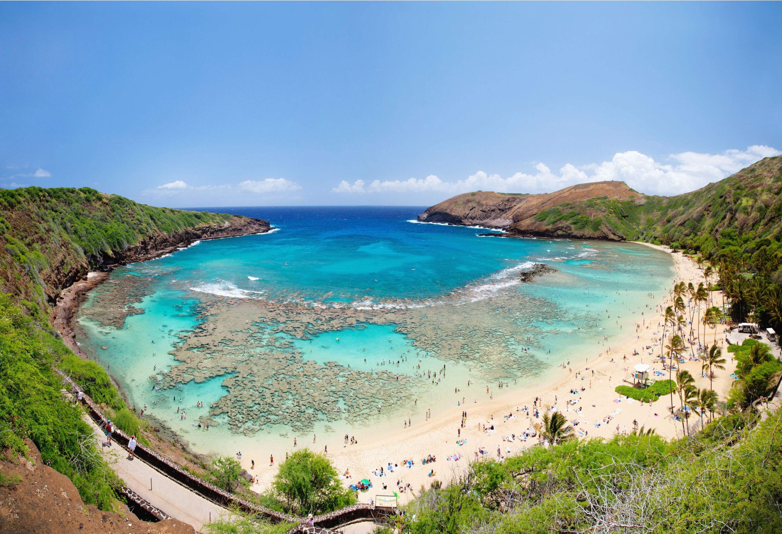 A dense concentration of reef spread throughout the shallow waters of a cove.