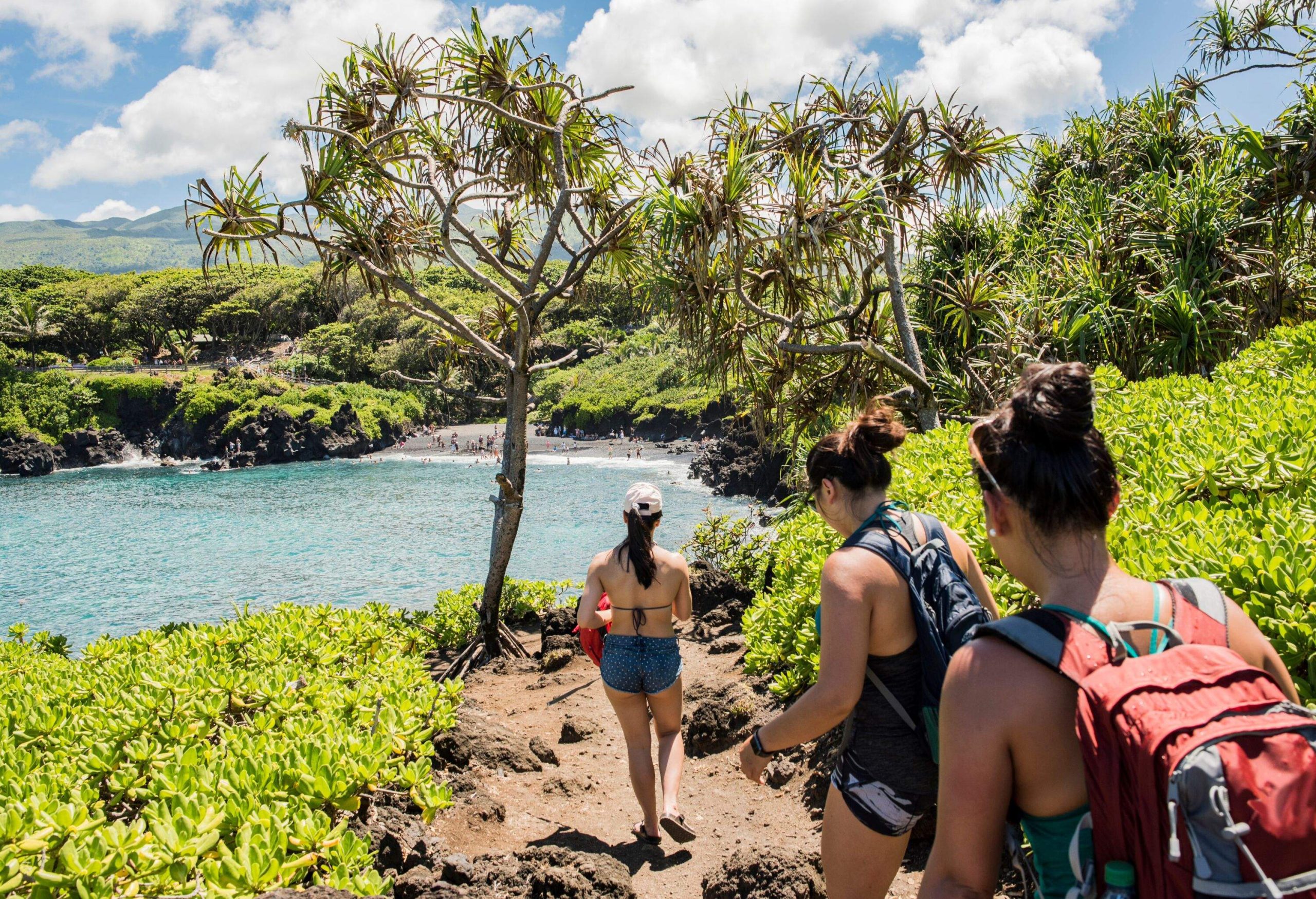 dest_usa_hawaii_waianapanapa_beach_gettyimages-1129101645