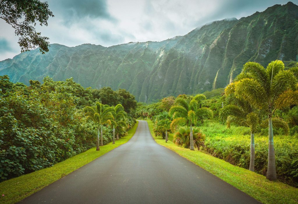 A scenic road winds its way through lush greenery, with a majestic, rugged cliff standing tall in the background.