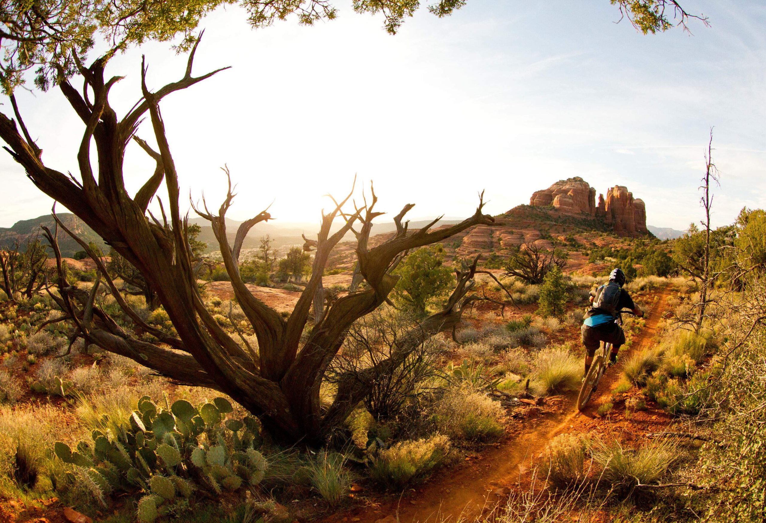 A male biker traversing the narrow trail on a rugged hilly terrain head towards an imposing rock formation.