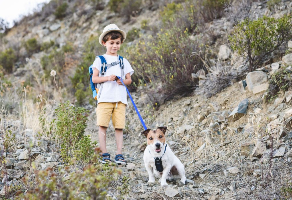 A young child grasps the leash of their canine companion while ambling along a scrub-dotted trekking path, surrounded by nature.