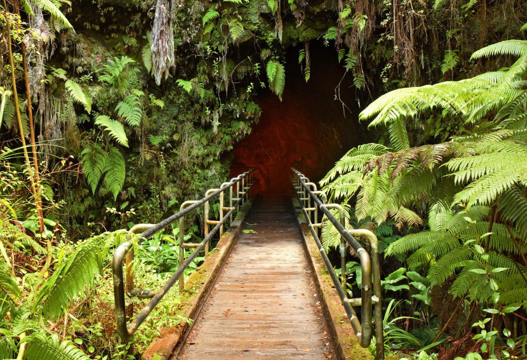Entrance to a lava-formed tunnel, surrounded by vibrant foliage, created as the cooled borders of the flowing lava solidified.