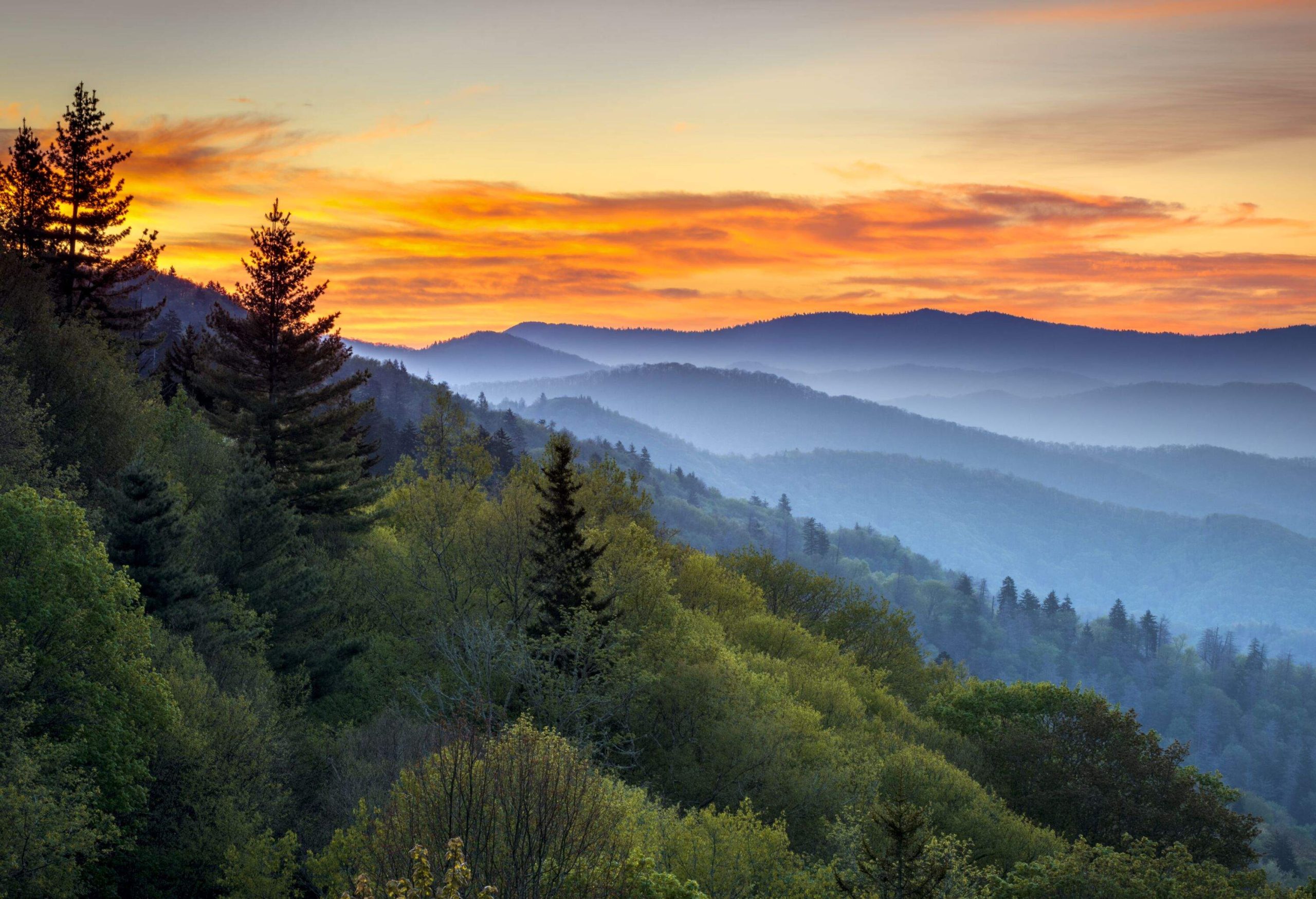 Great Smoky Mountains National Park Scenic Sunrise Landscape at Oconaluftee Overlook between Cherokee NC and Gatlinburg TN