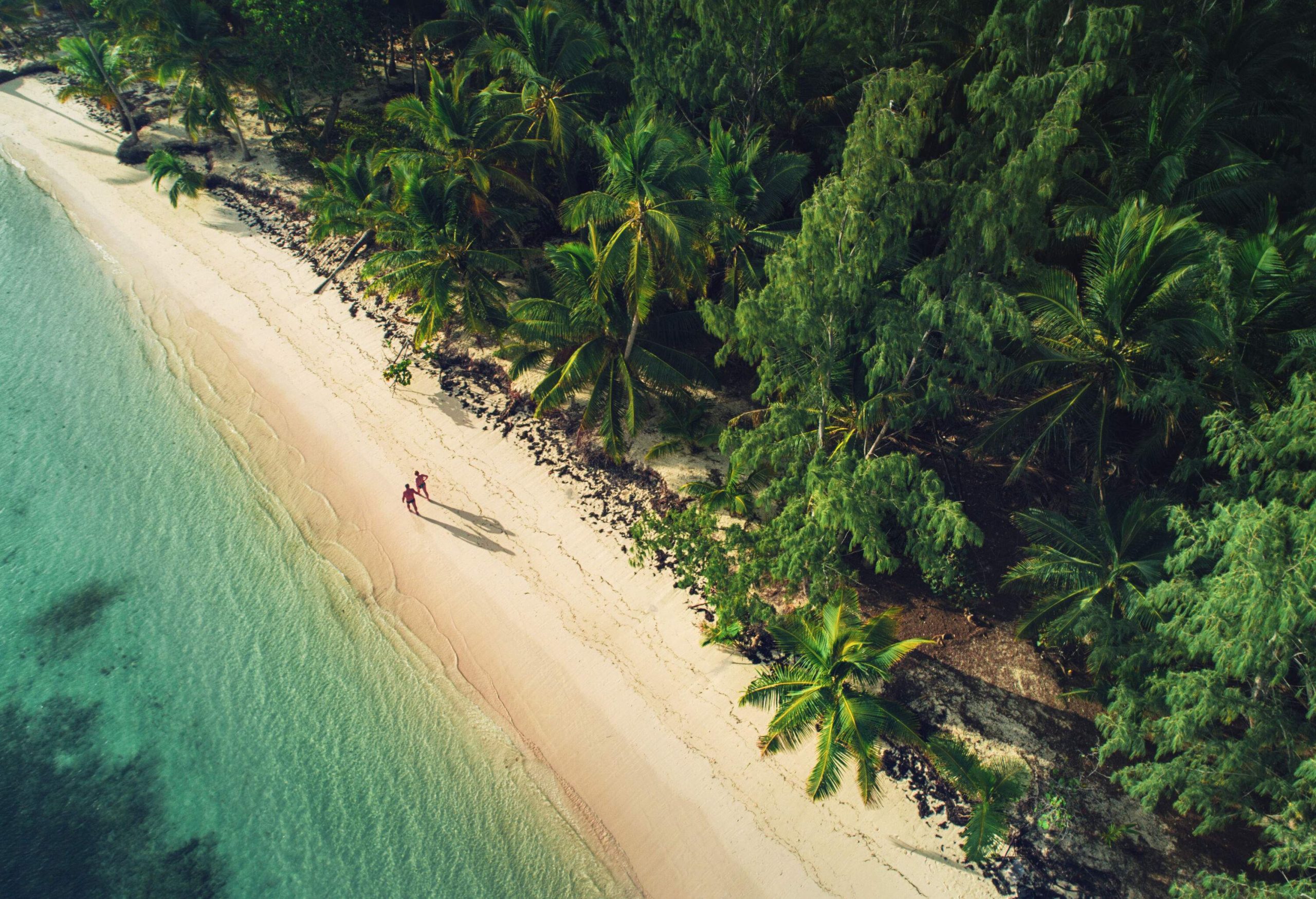An aerial view of a couple walking on the sandy beach along the forest.