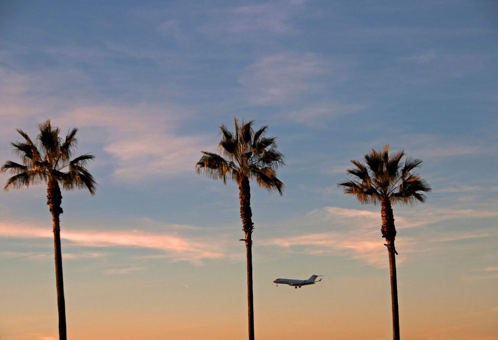 Three palm trees towering into the sky with an airplane passing by.