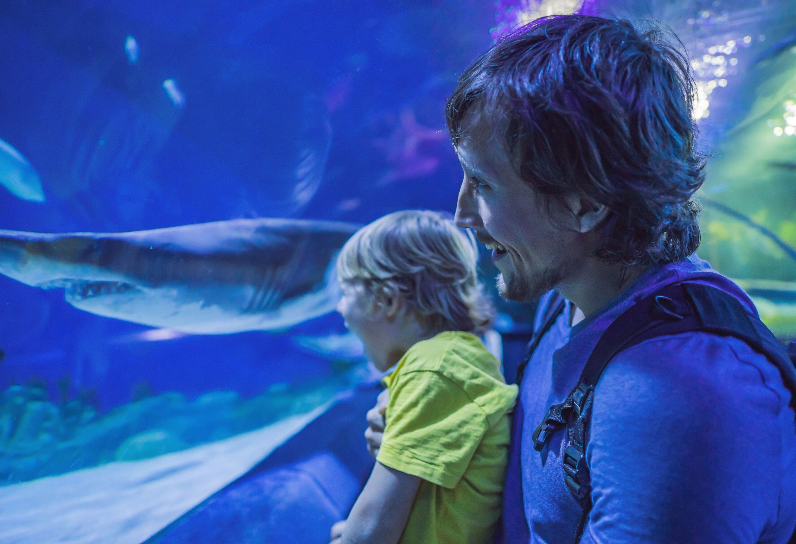 A father and son share a memorable bonding experience as they marvel at the fascinating aquatic life while standing within the immersive tunnel of an aquarium.