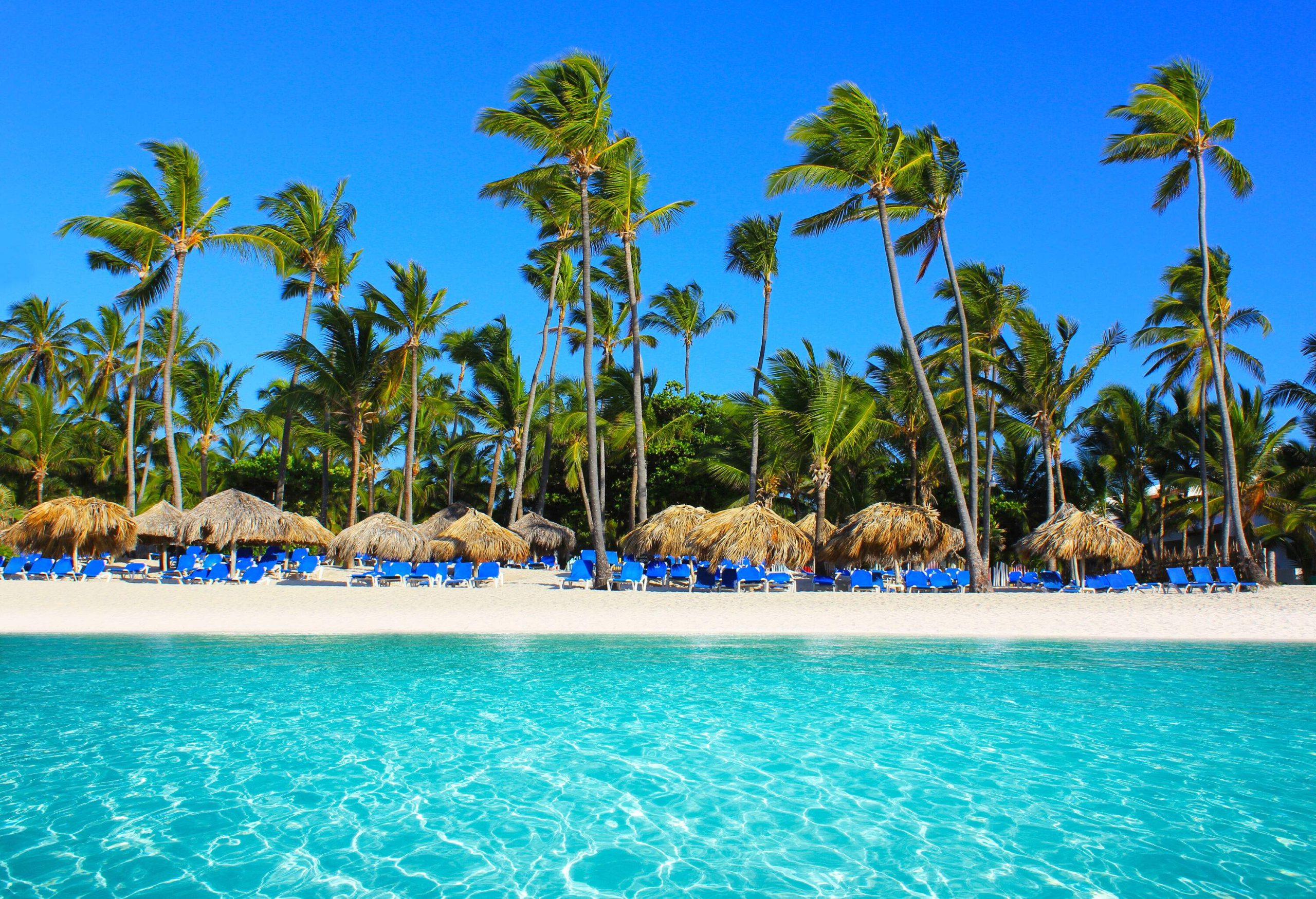 Blue sunbeds and thatched umbrellas set under the swaying tall palm trees on a sandy turquoise beach.
