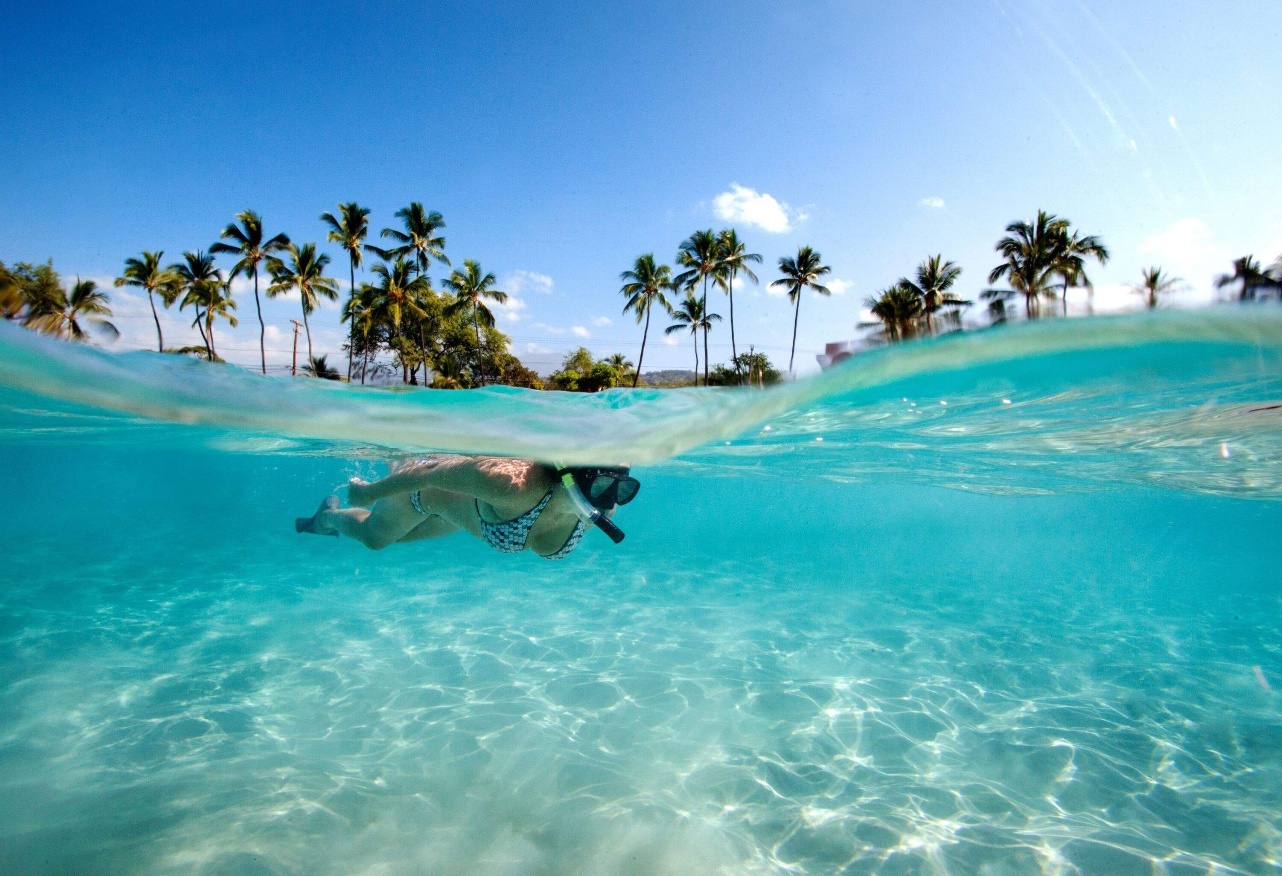 A female snorkels at the surface of the clear turquoise water surrounded by palm trees against the blue sky.