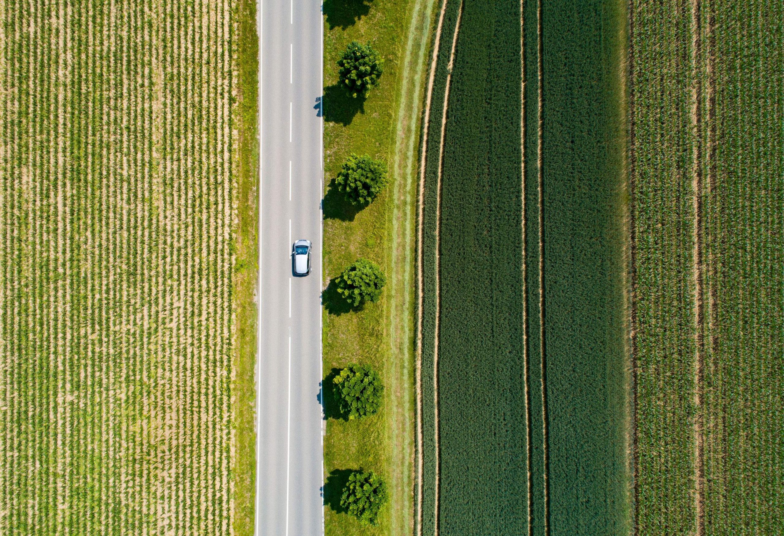 A grey car travels on a concrete road lined with trees in the middle of lush green fields.