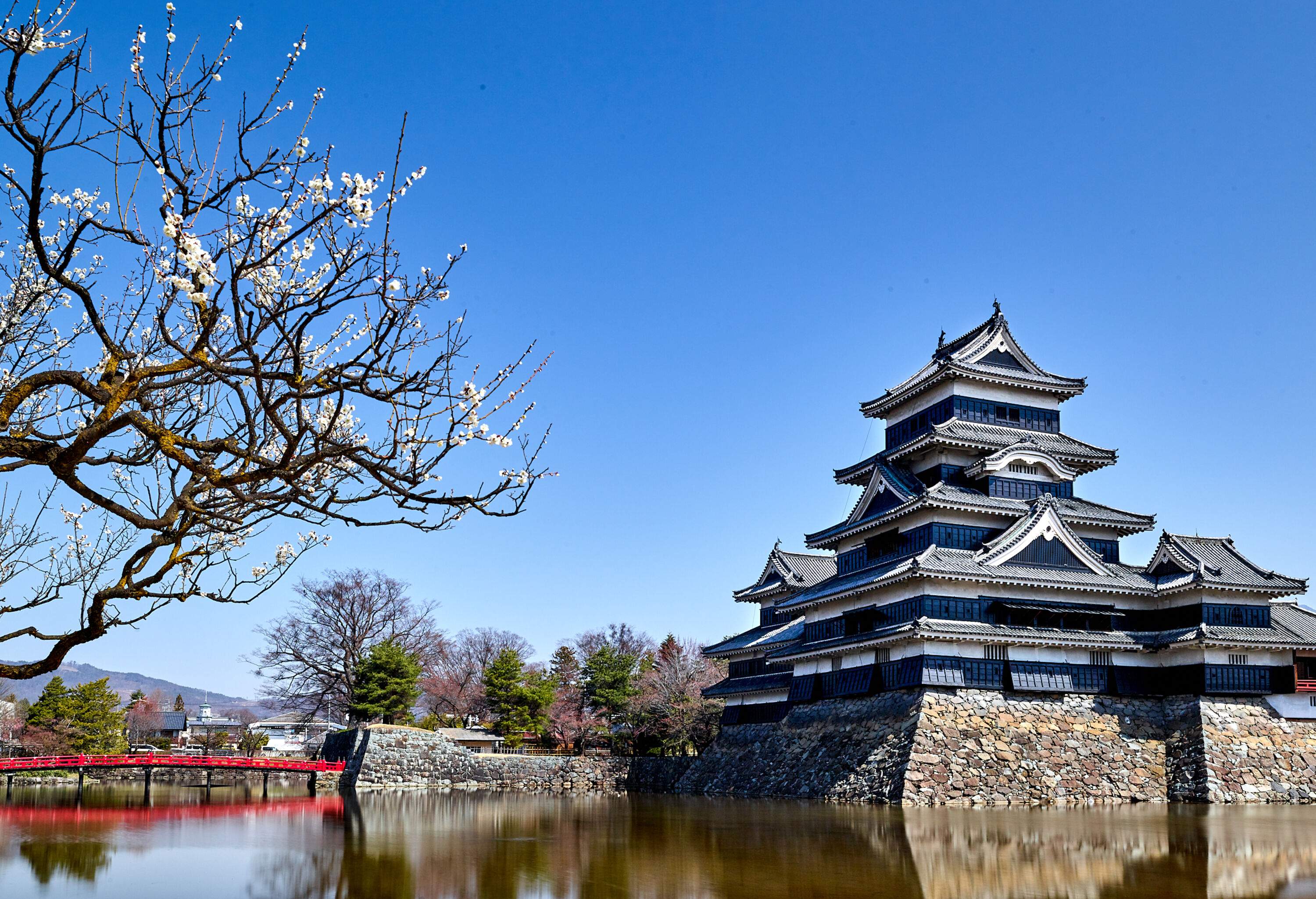 A historic black, moated castle with a wooden six-story keep by the river surrounded by green trees and cherry blossoms.