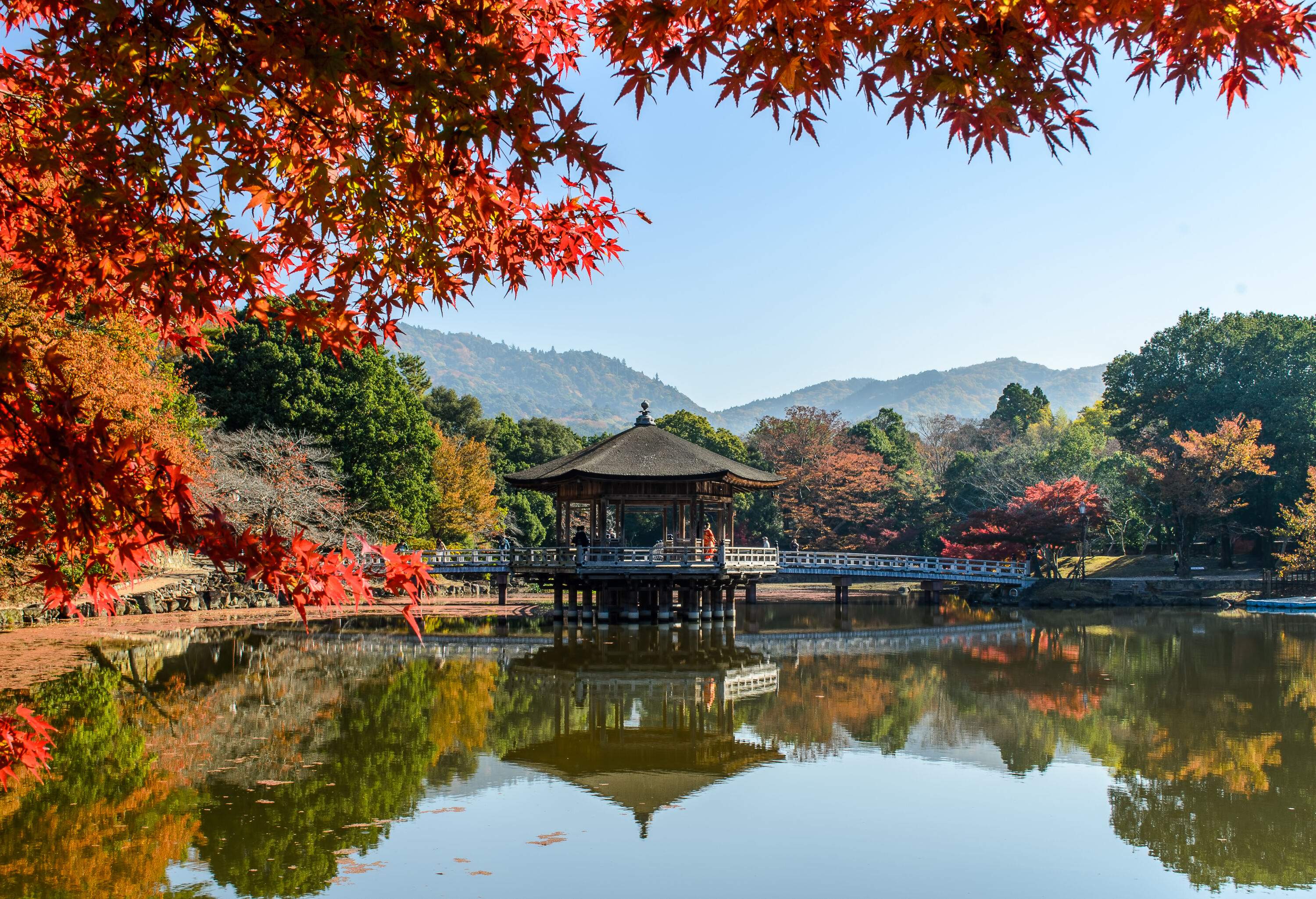 A pavilion with a bridge in the centre of a lake that is bordered by changing foliage.