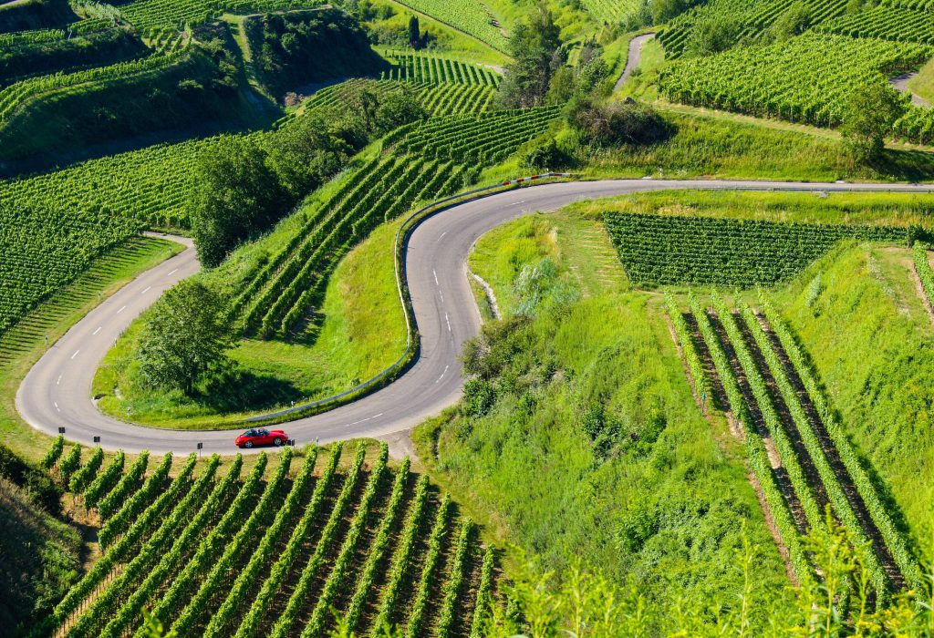 A red convertible driving through the vineyards on a winding roadway.