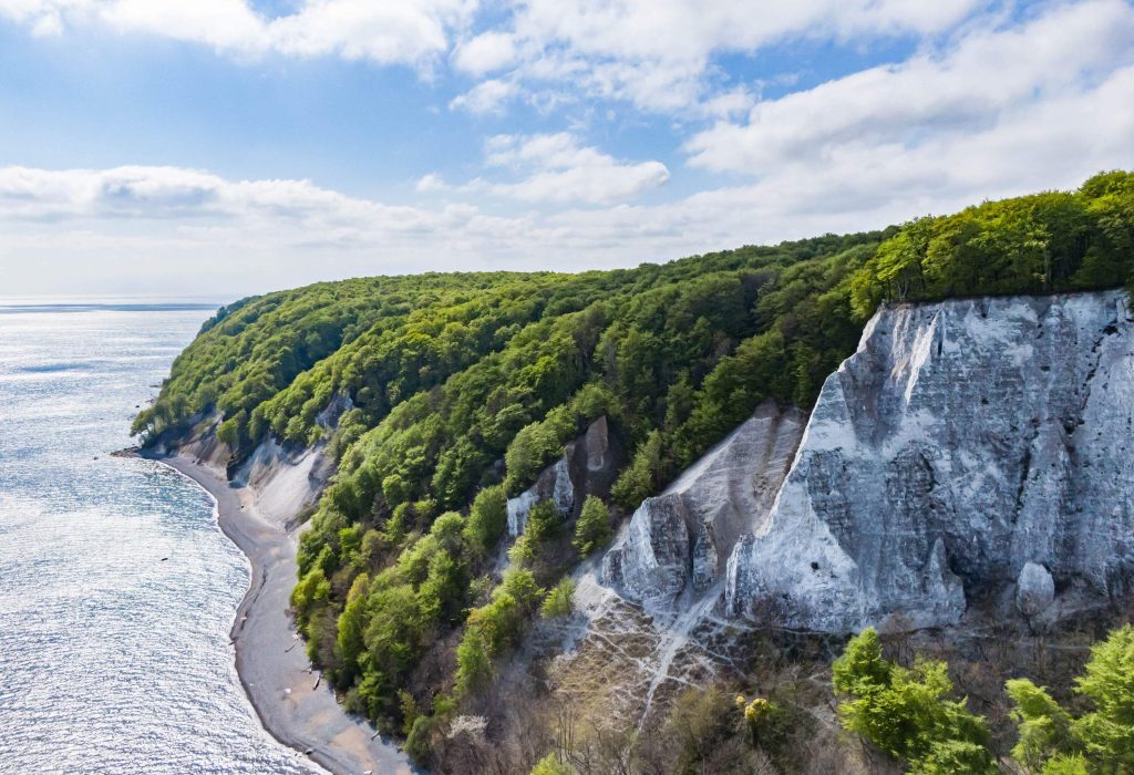 A stunning chalk cliff surrounded by thick trees along a coast.