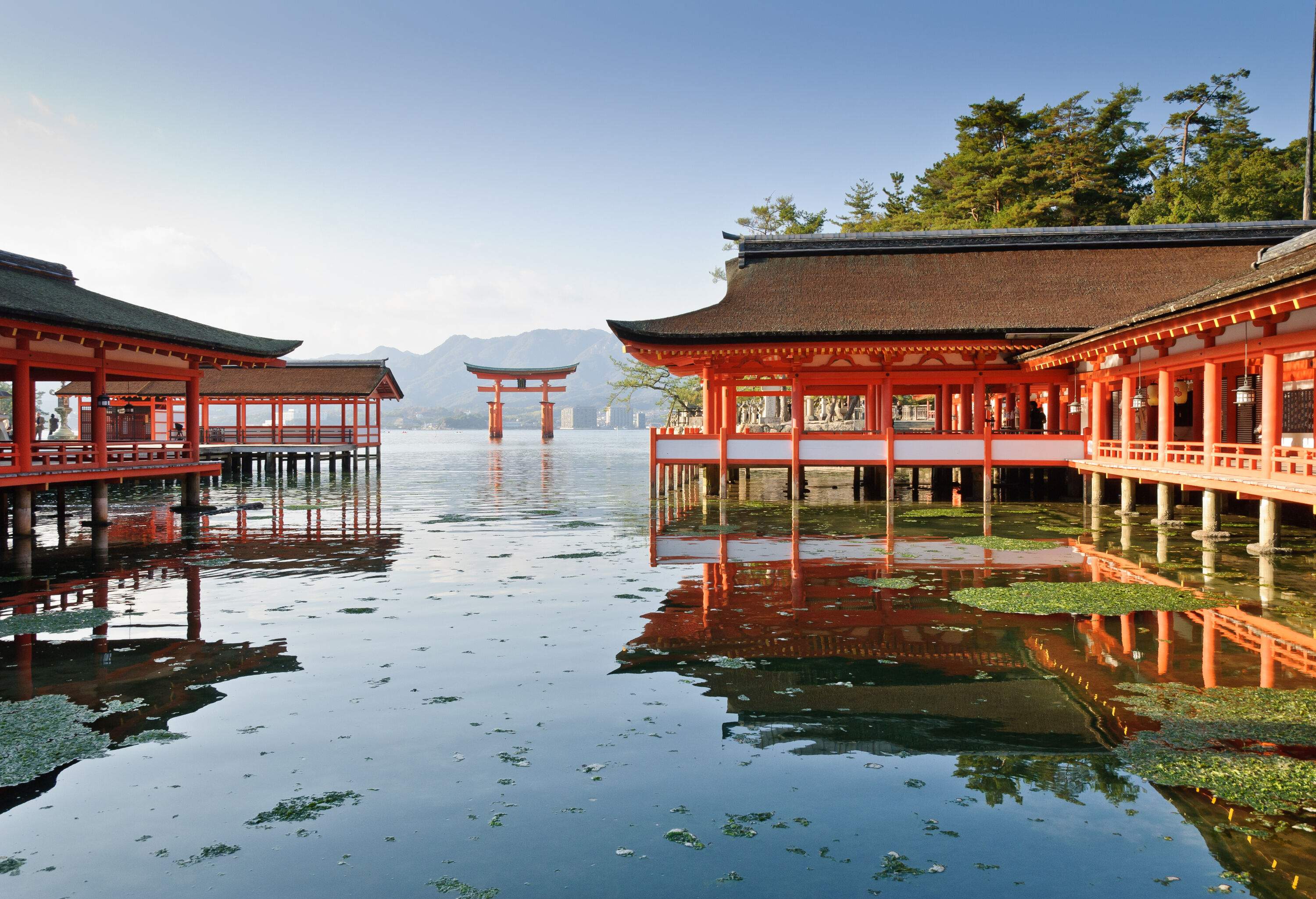 The iconic Itsukushima Shrine in Japan stands gracefully on stilts, reflecting its grandeur against the tranquil waters.