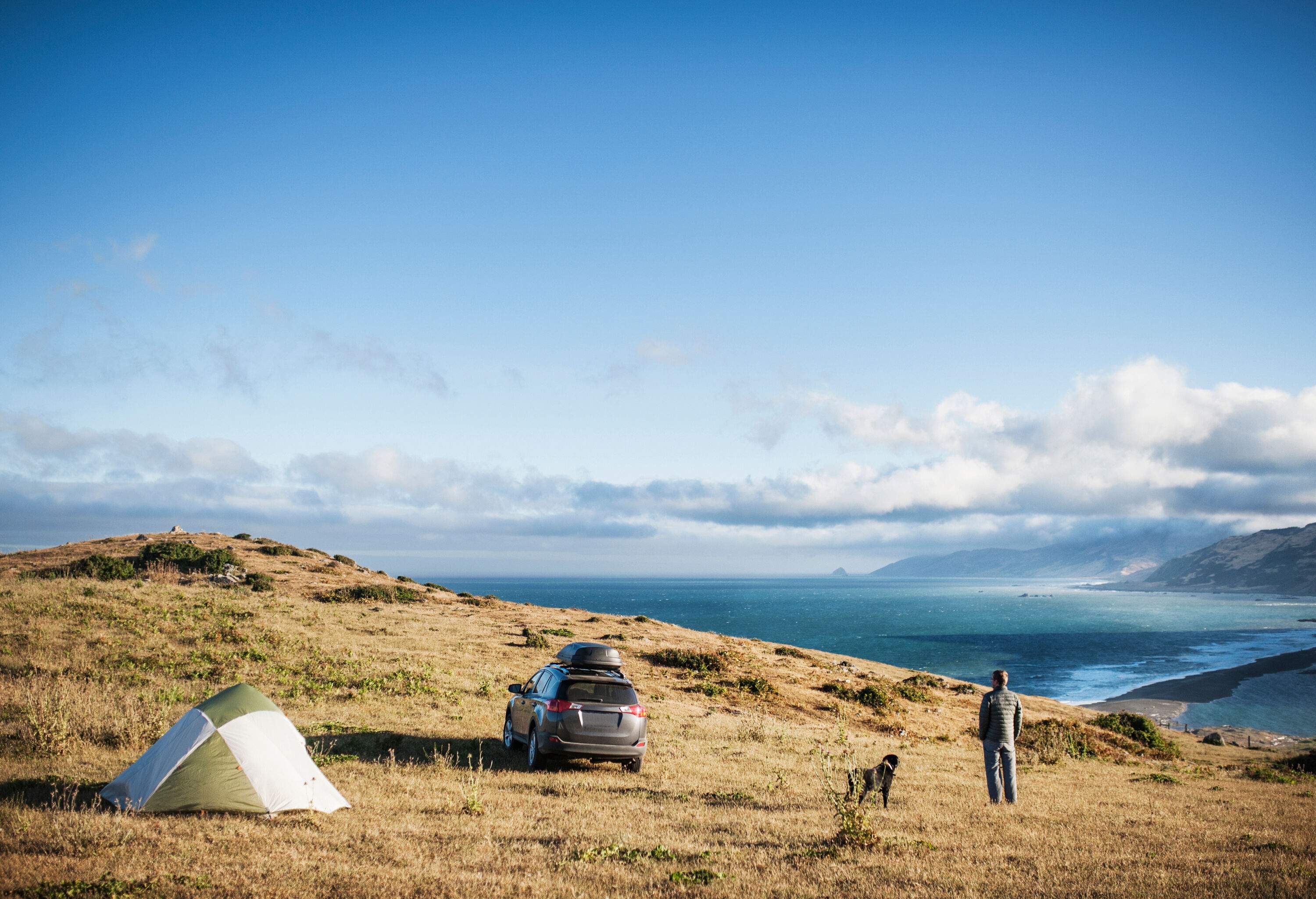 A person stands beside a dog next to a car and a tent pitched on the hilltop.